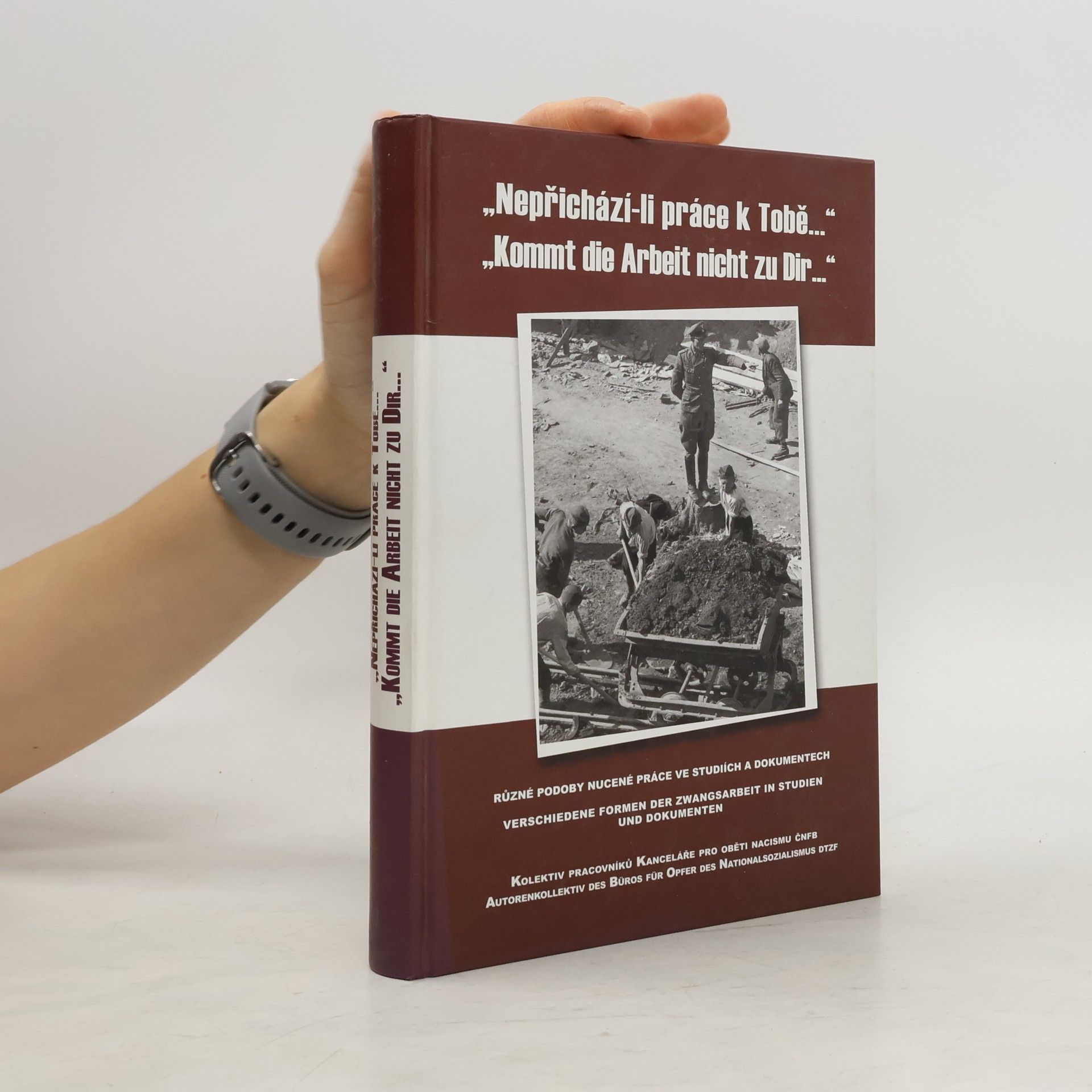 Autorenkollektiv "Nepřichází-li práce k tobě..."