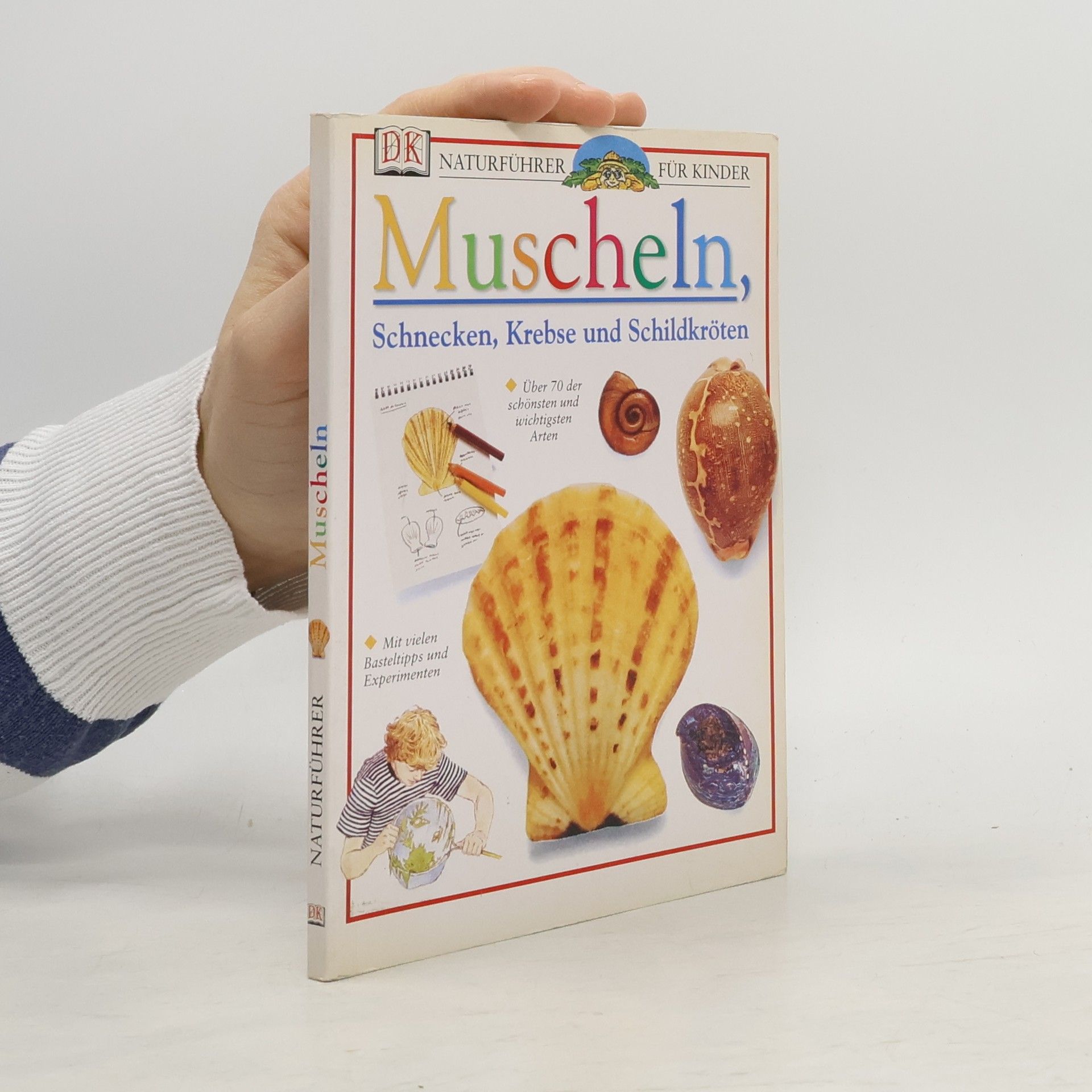 Jennifer Coldrey Naturführer für Kinder. Muscheln, Schnecken, Krebse und Schildkröten