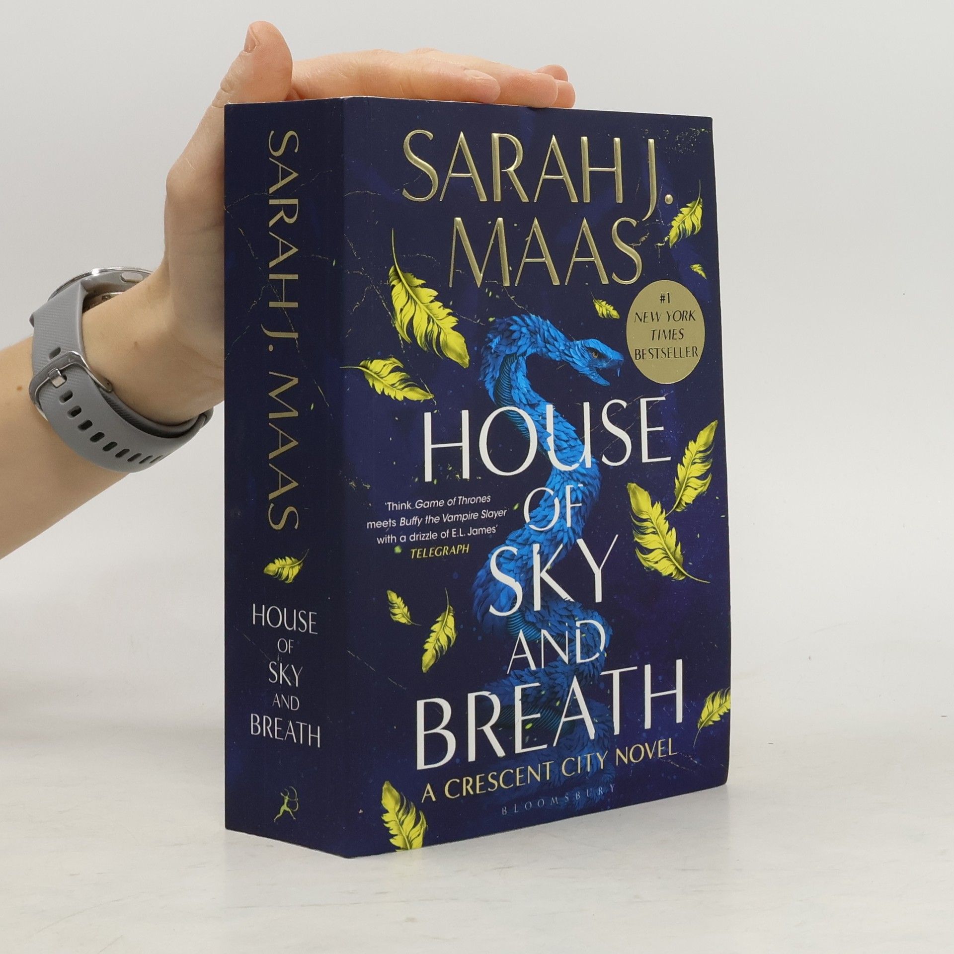 Sarah J. Maas House of Sky and Breath