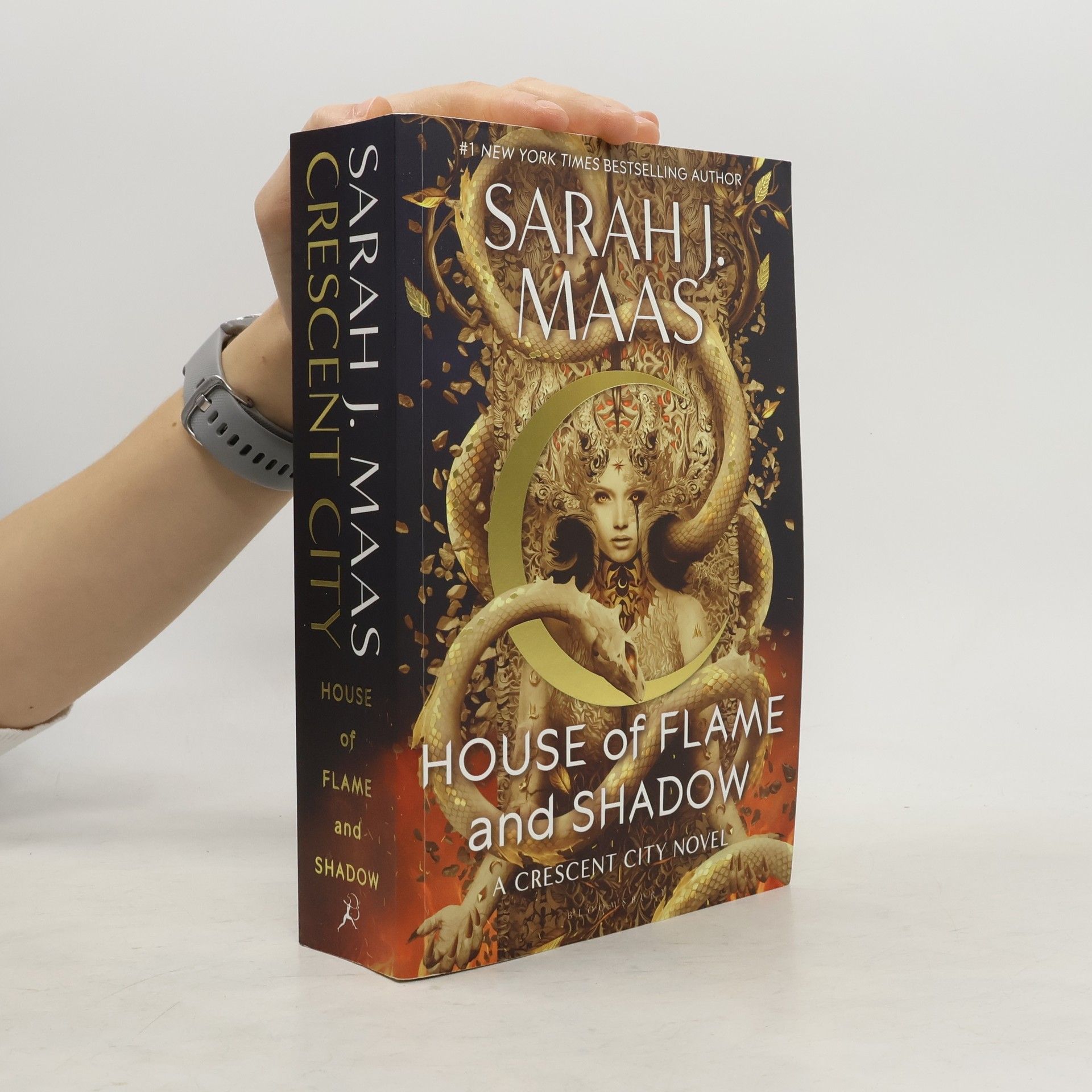 House of Flame and Shadow