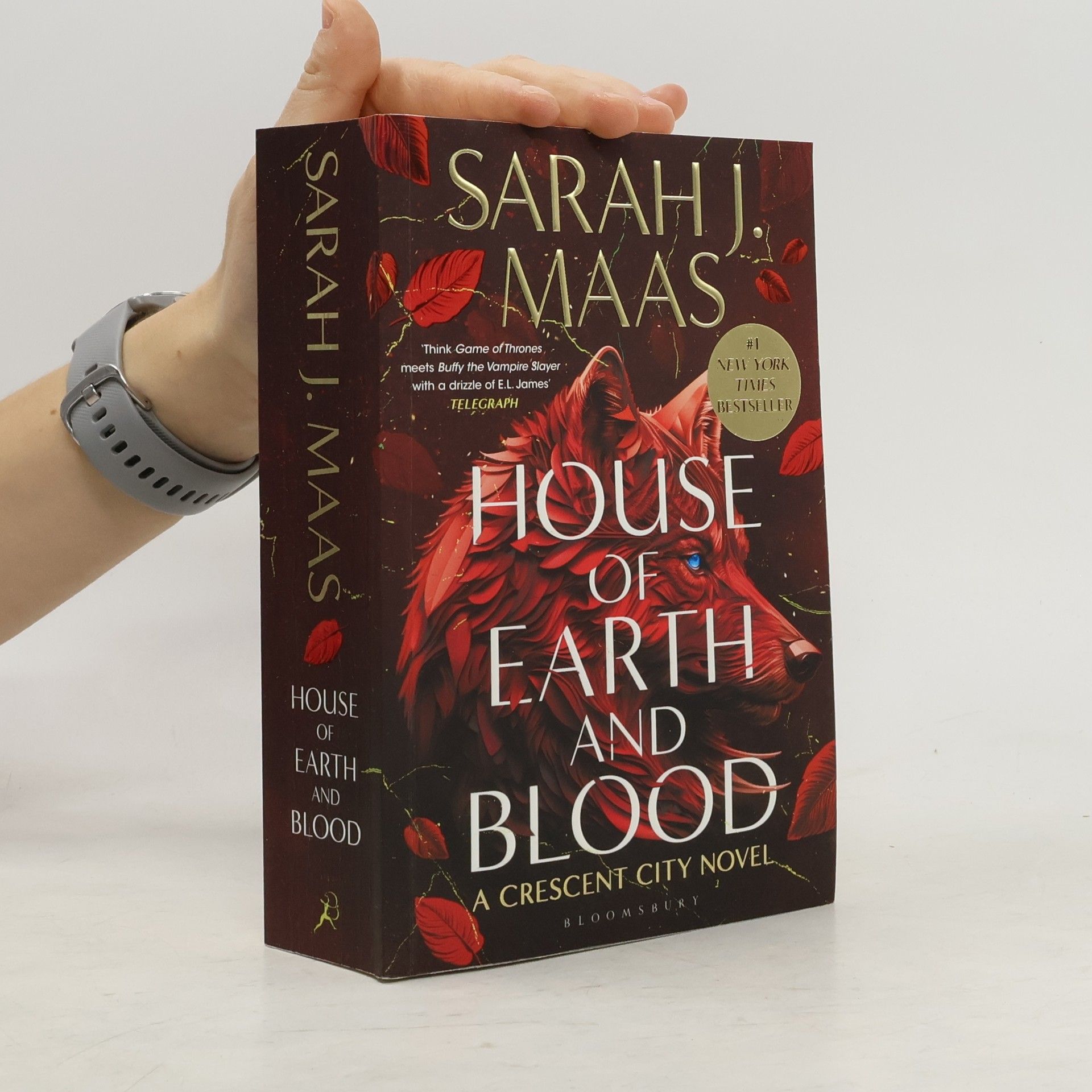 House of Earth and Blood
