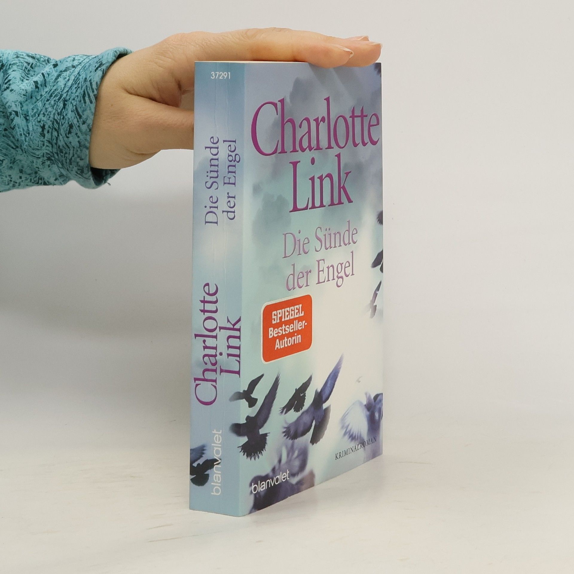 Charlotte Link Die Sünde der Engel