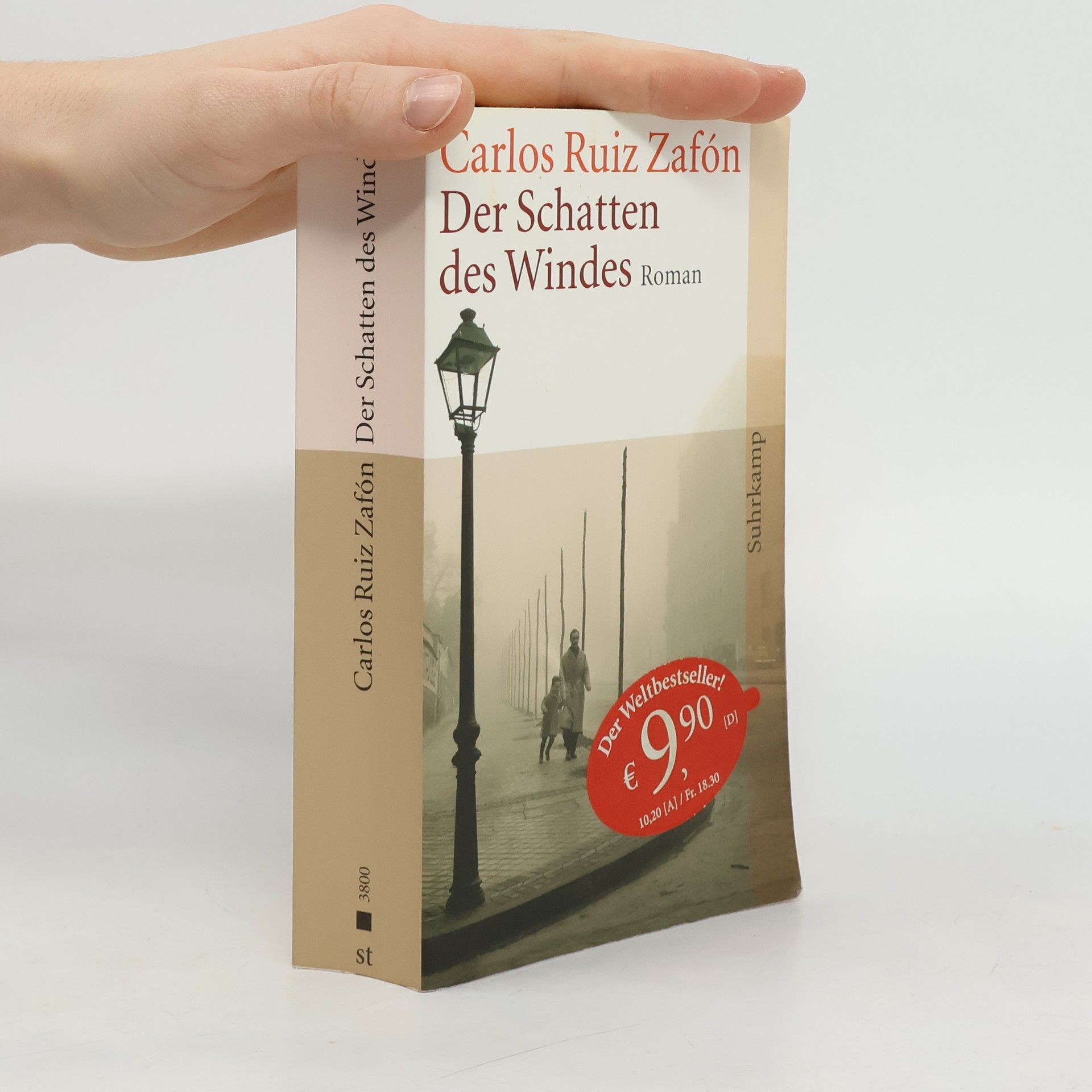 Carlos Ruiz Safon Der Schatten des Windes