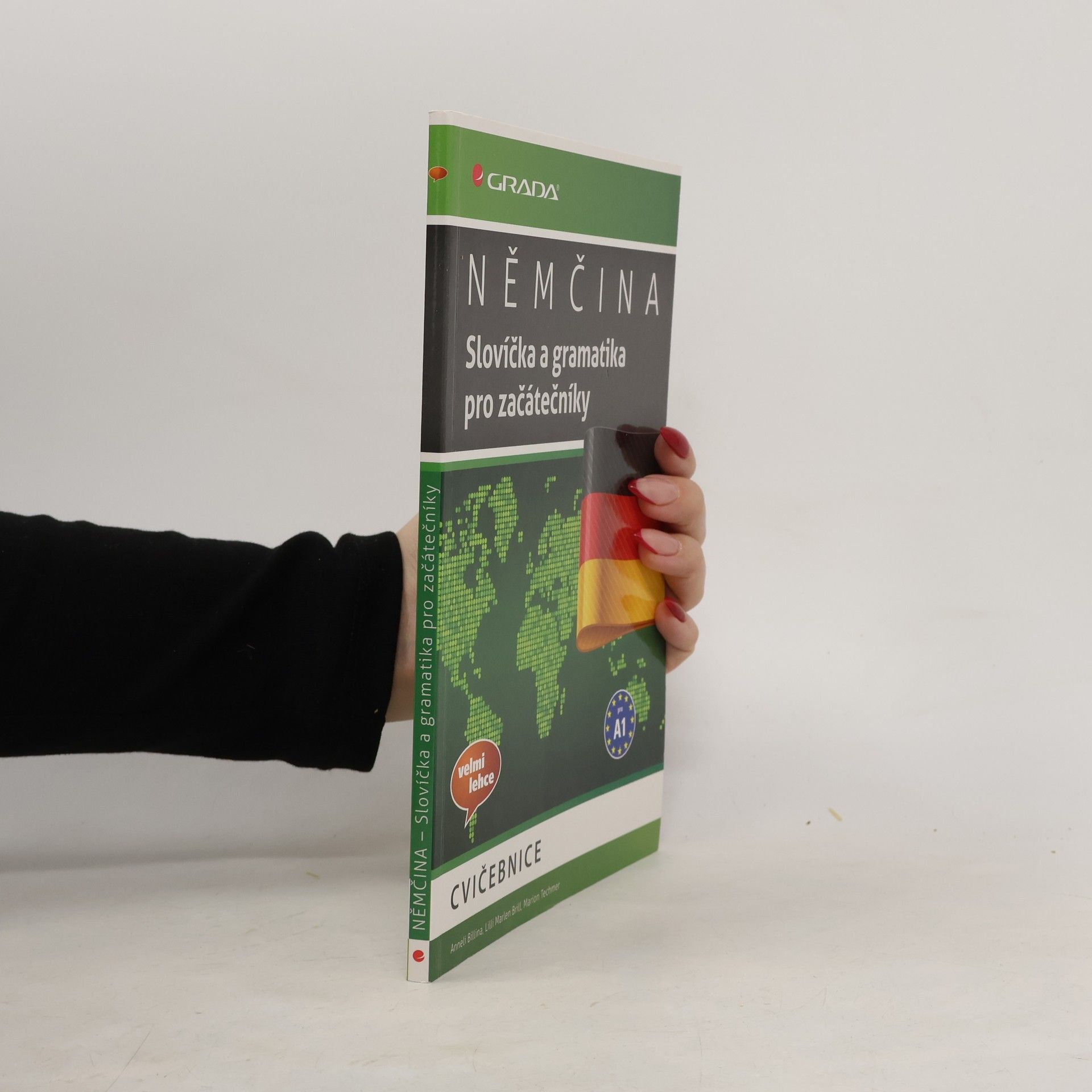 Anneli Billina Němčina: Slovíčka a gramatika pro začátečníky: Cvičebnice : [pro A1]