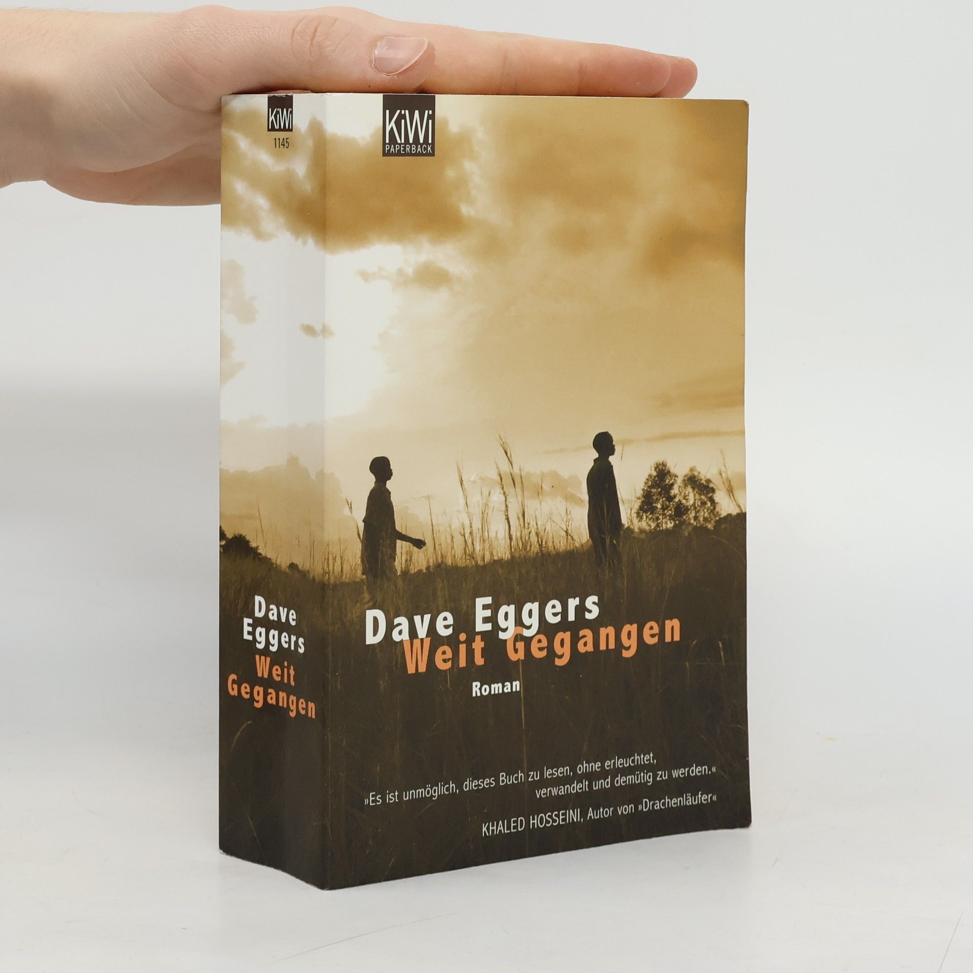 Dave Eggers Weit gegangen