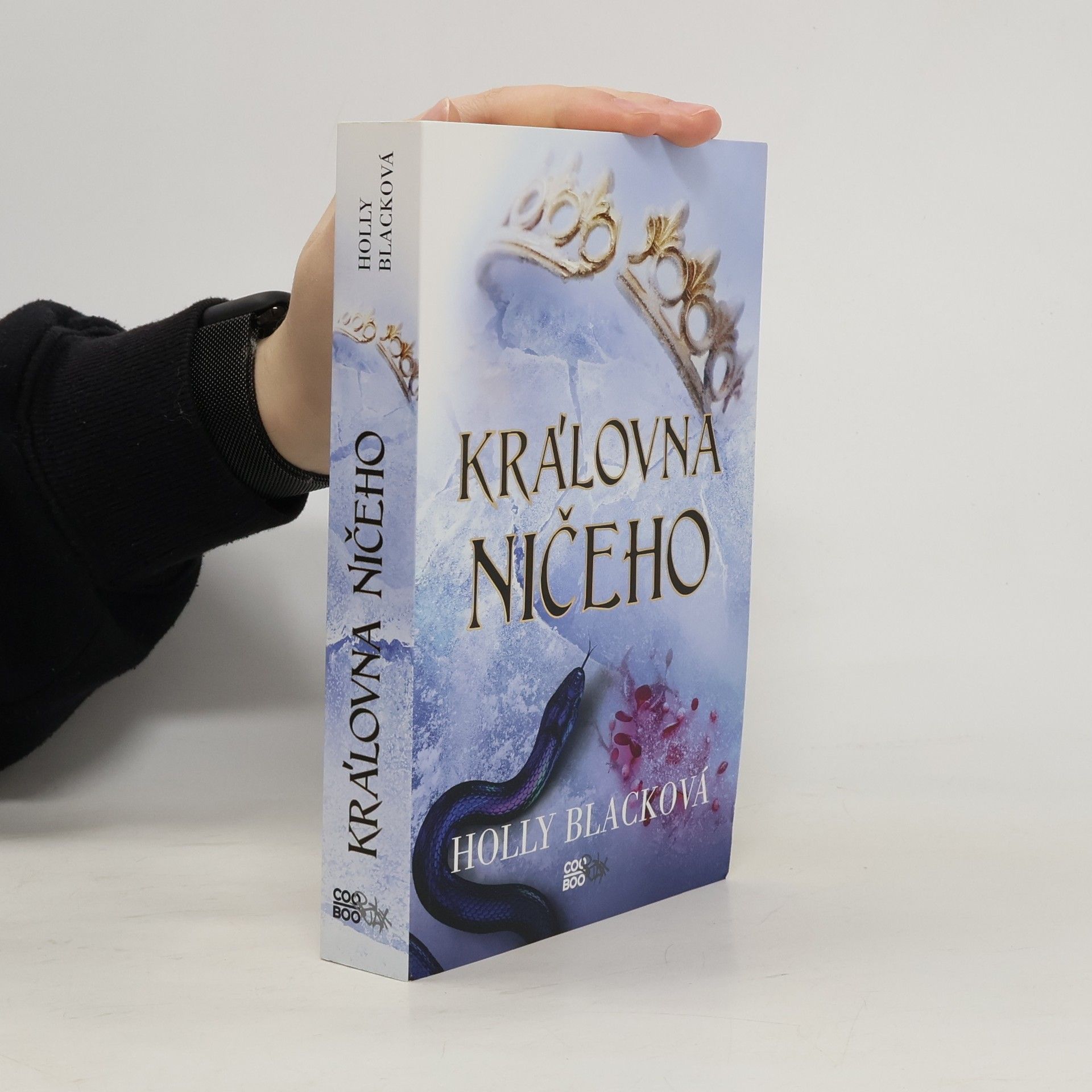 Holly Black Královna ničeho