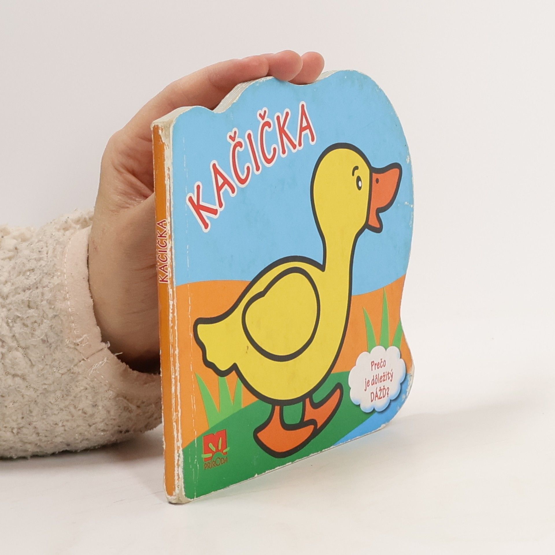 Kolektív autorov Kačička