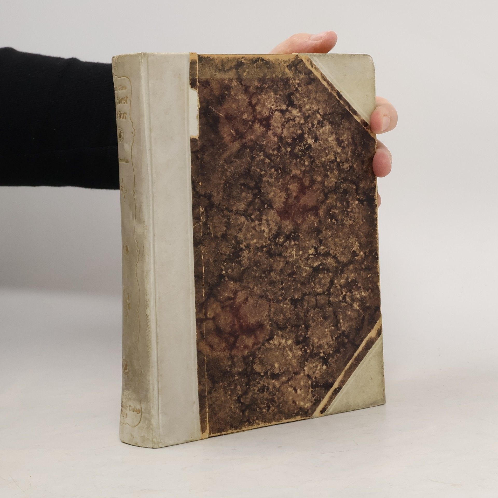 Hermann Löns Aus Forst und Flur