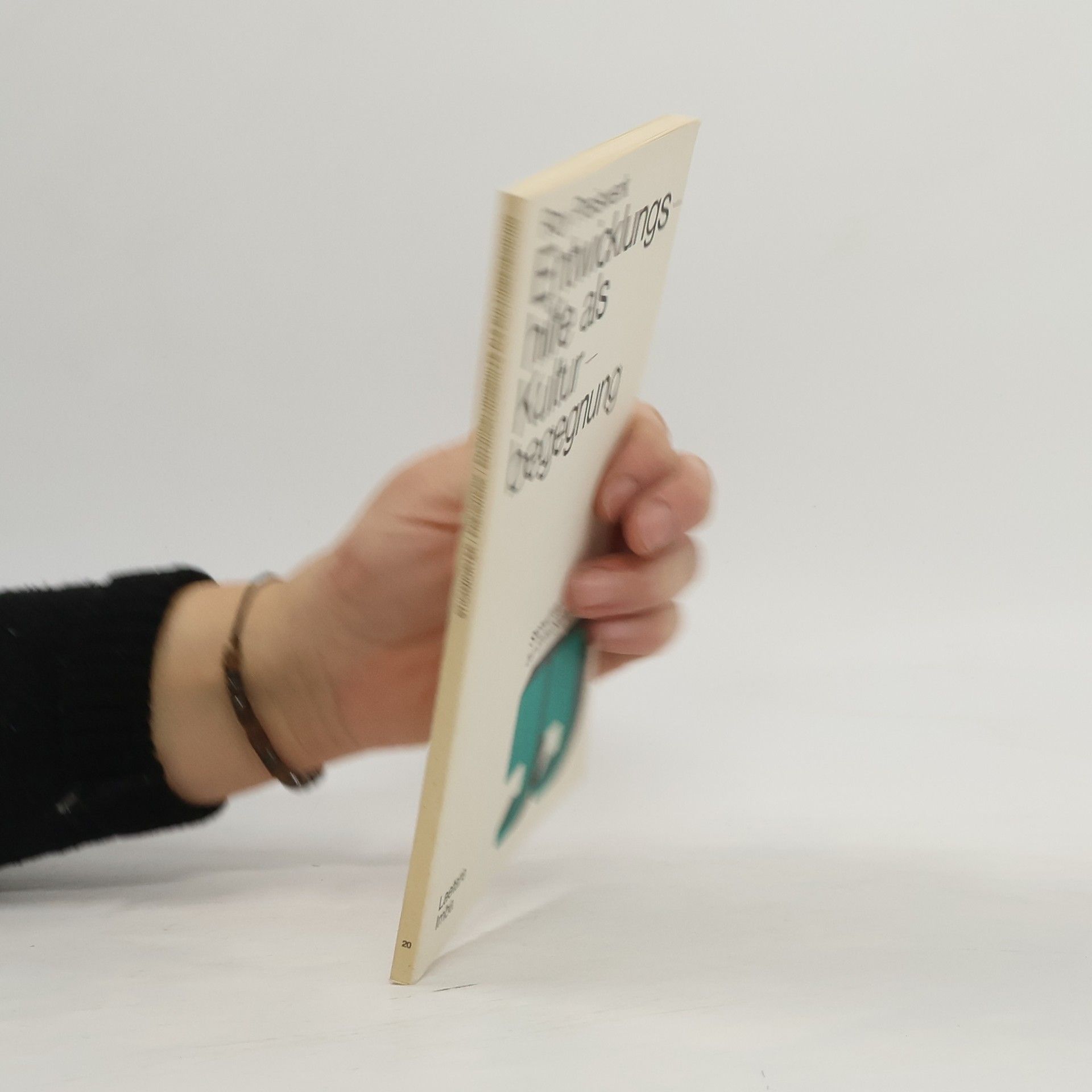 Entwicklungshilfe als Kulturbegegnung