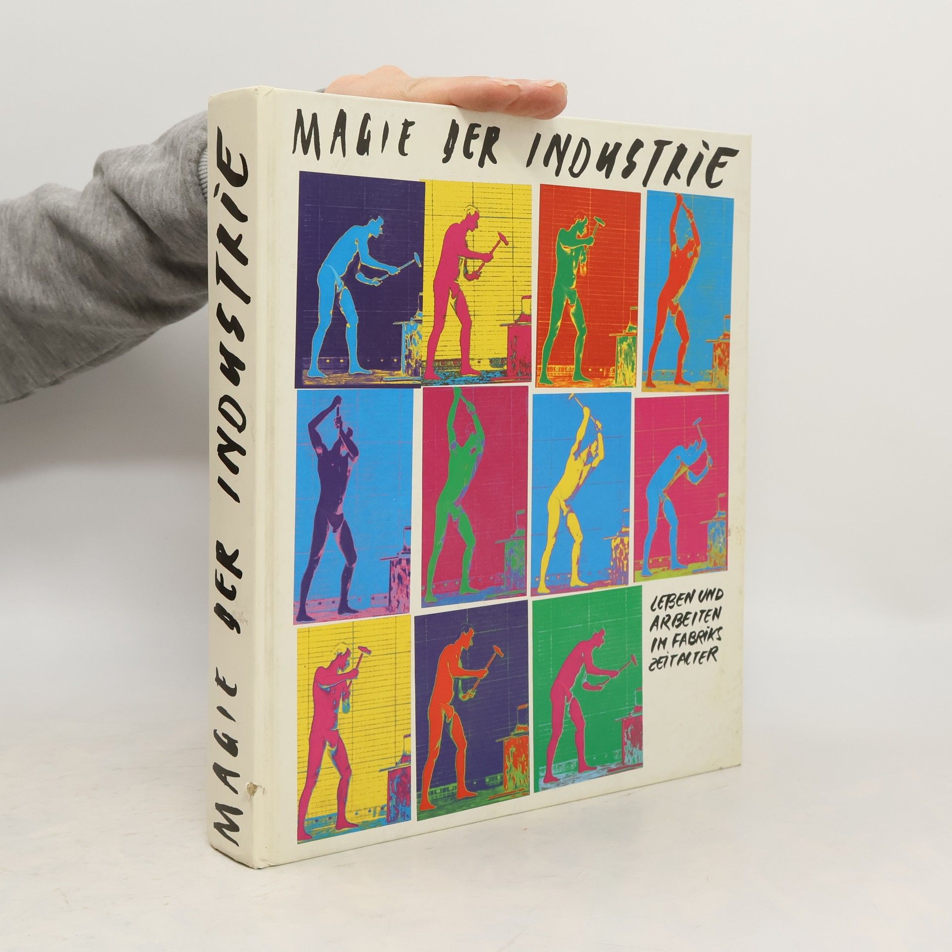 Autorenkollektiv Leben und Arbeiten im Fabrikszeitalter. Magie der Industrie