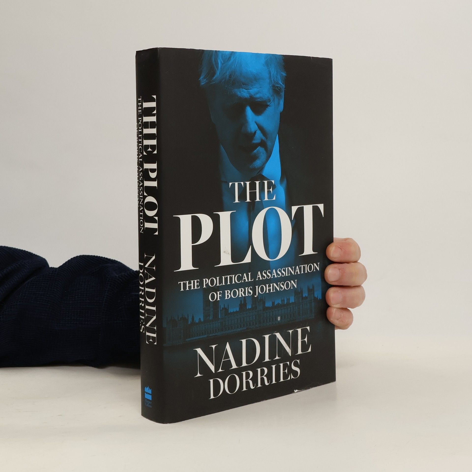 Nadine Dorries The Plot