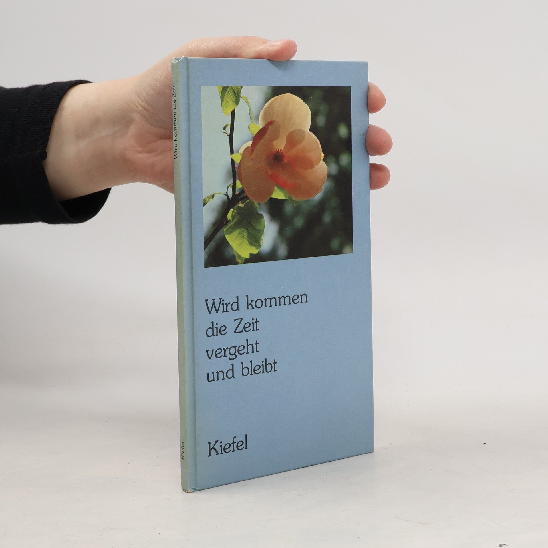 Hanna Barnhelm Wird kommen die Zeit vergeht und bleibt