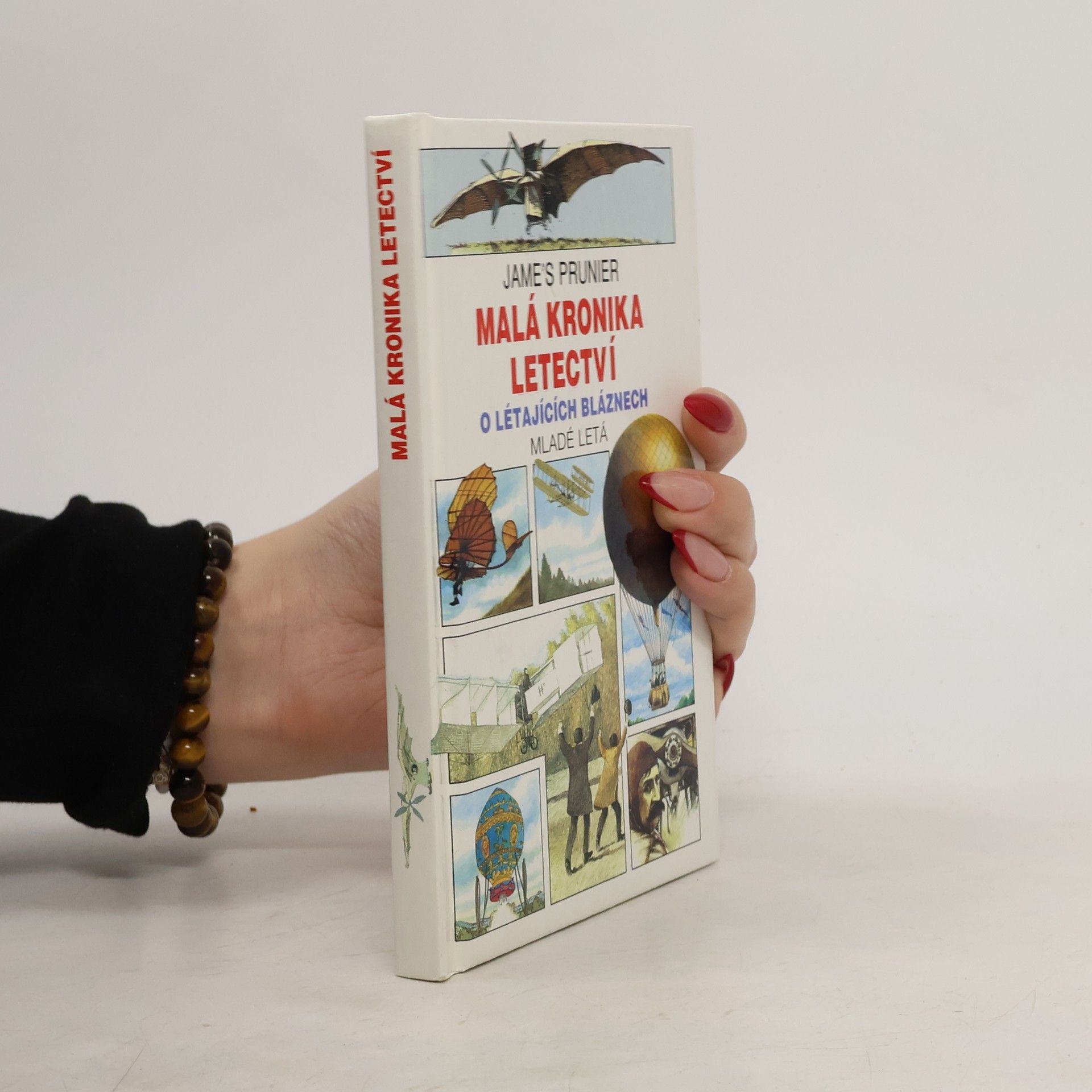 Jame's Prunier Malá kronika letectví. O létajících bláznech