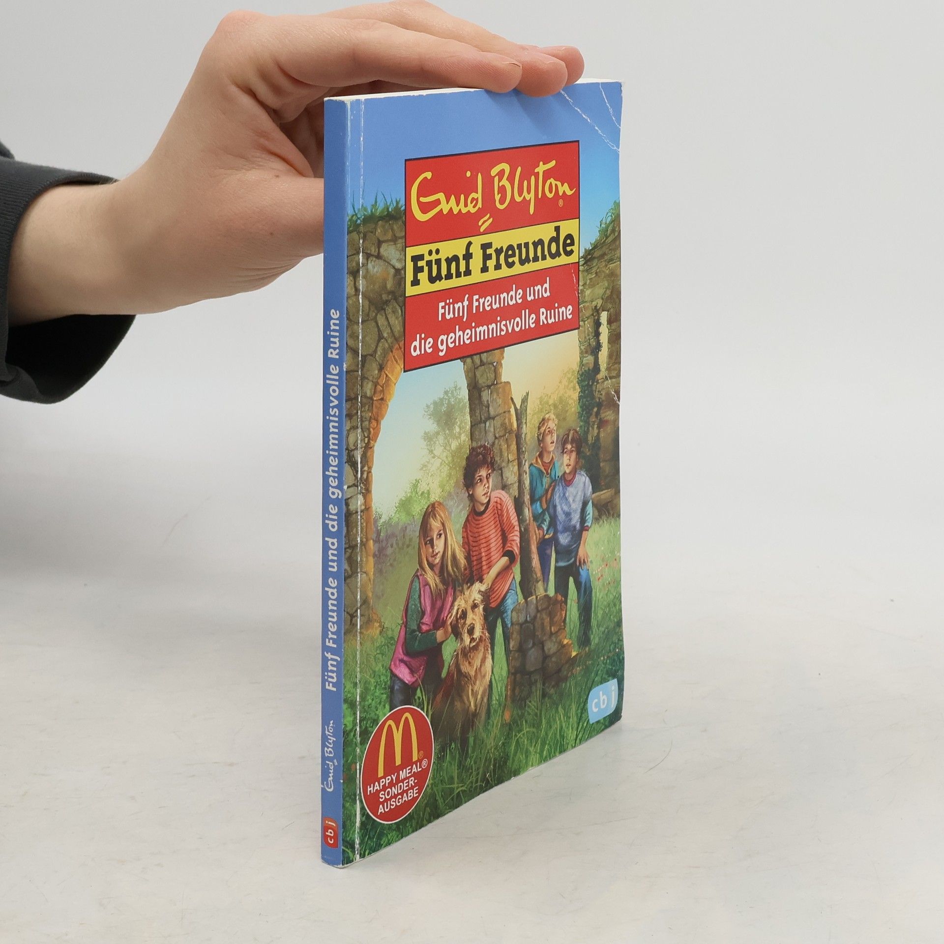 Sarah Bosse Fünf Freunde und die geheimnisvolle Ruine