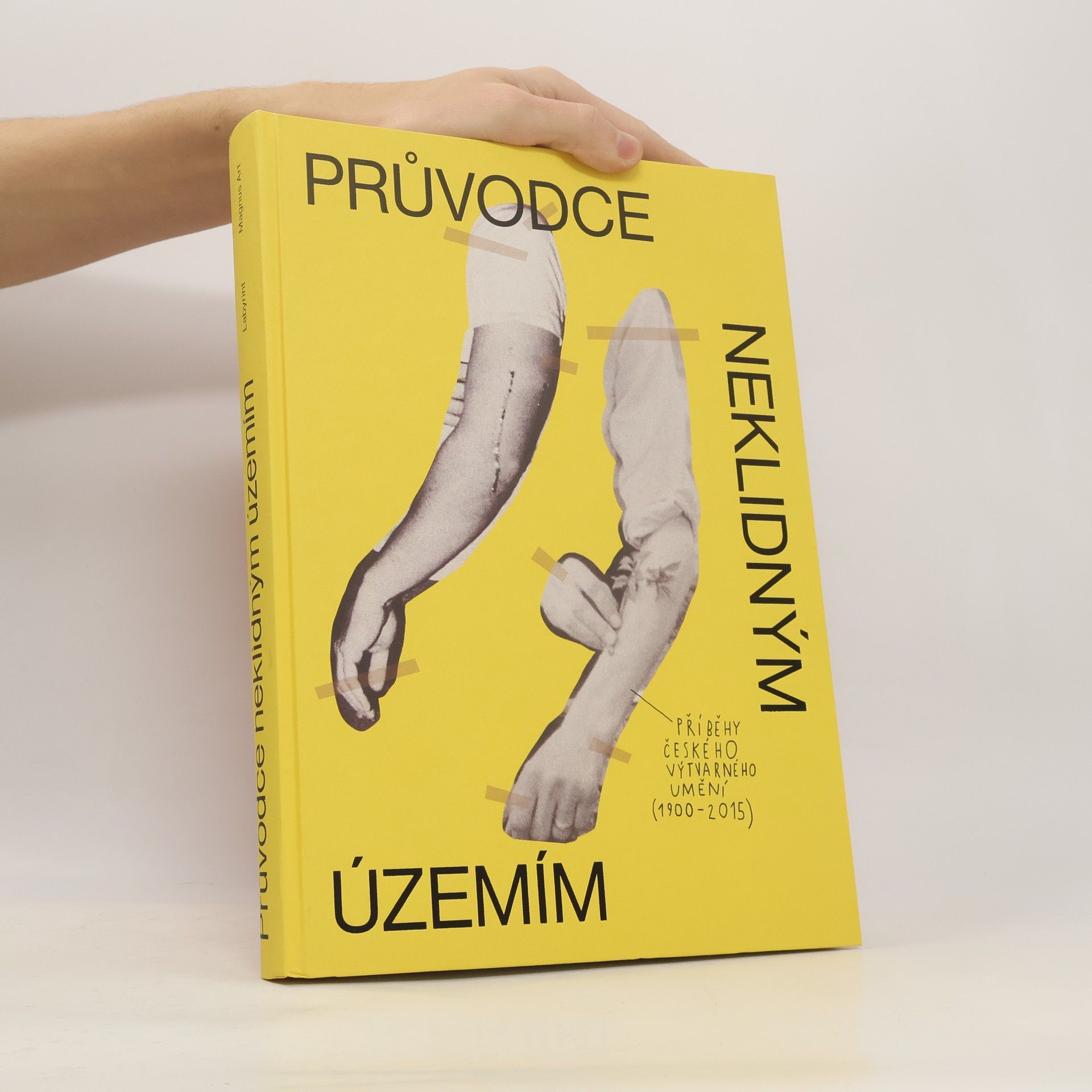 Průvodce neklidným územím. Příběhy českého výtvarného umění (1900-2015)