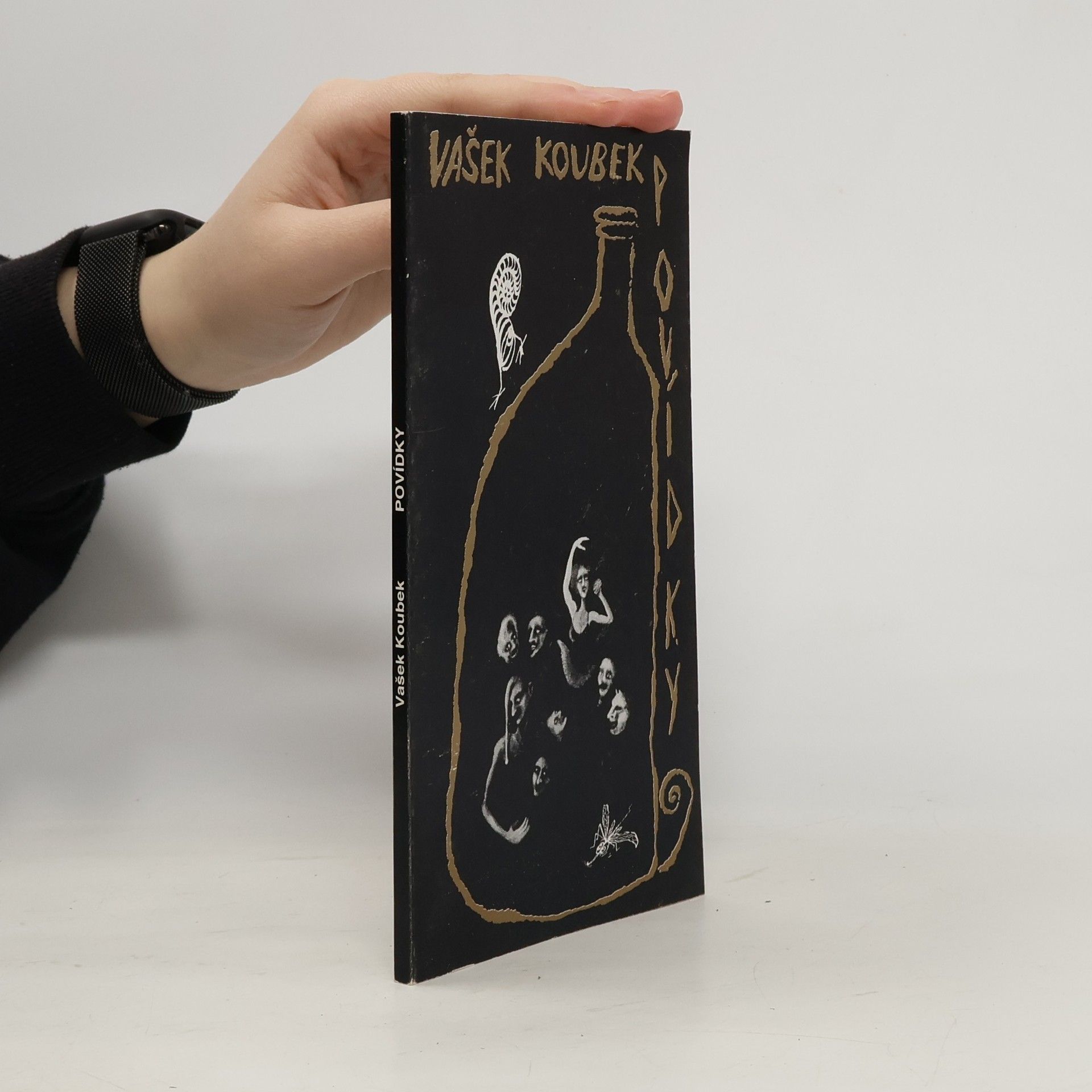 Vašek Koubek Povídky