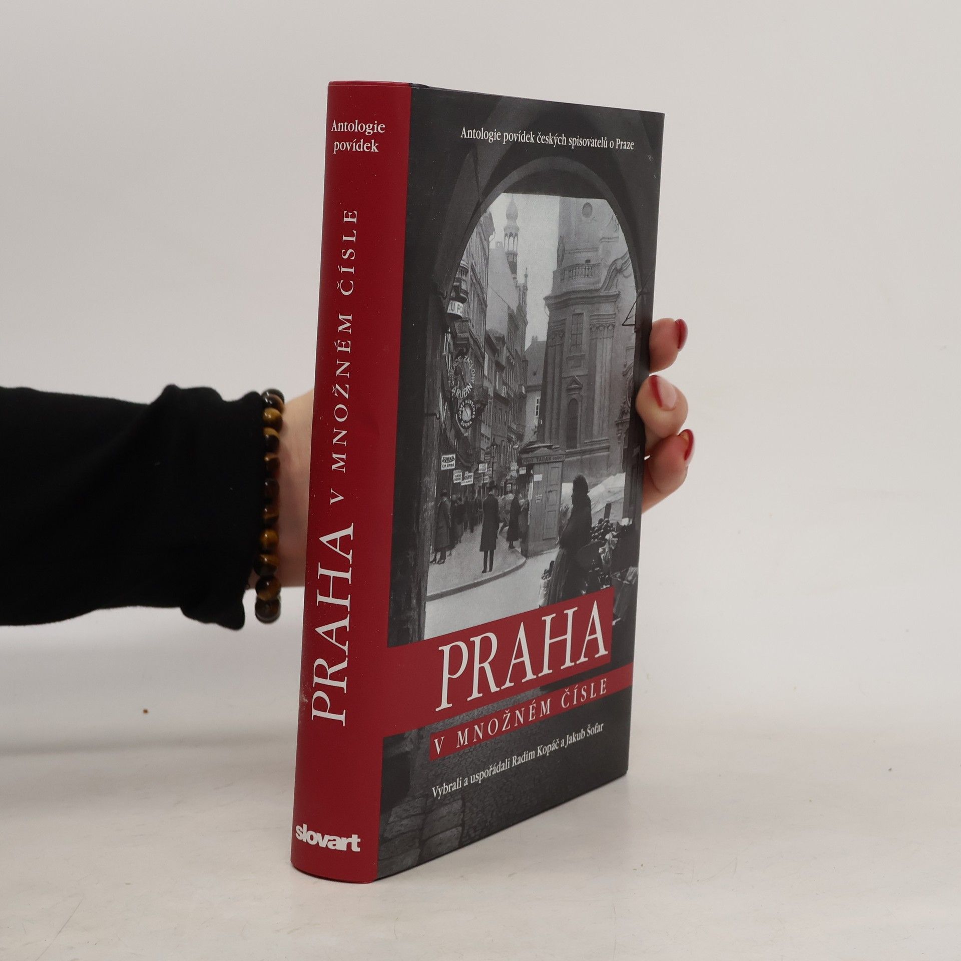 Auteurscollectief Praha v množném čísle