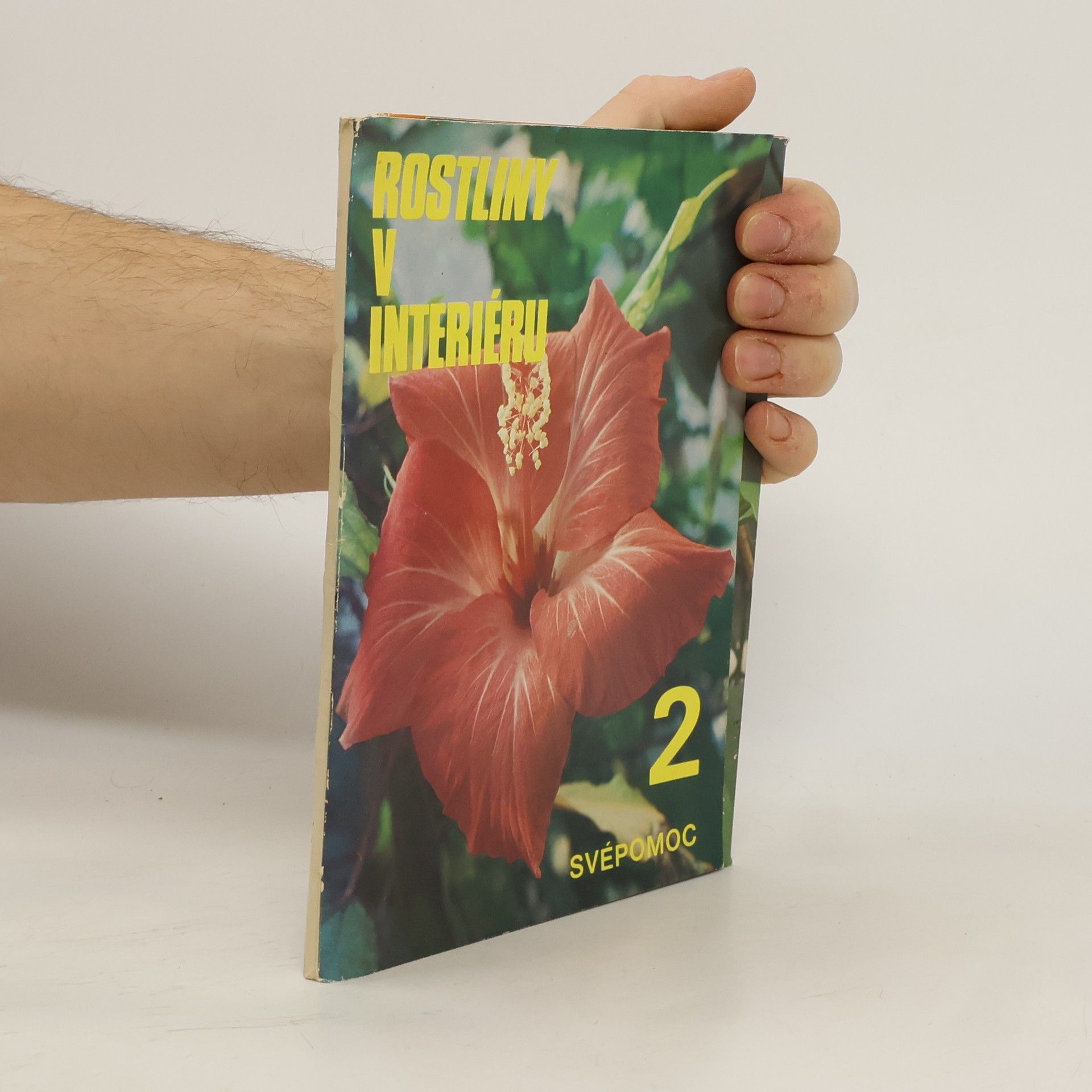 Rostliny v interiéru 2