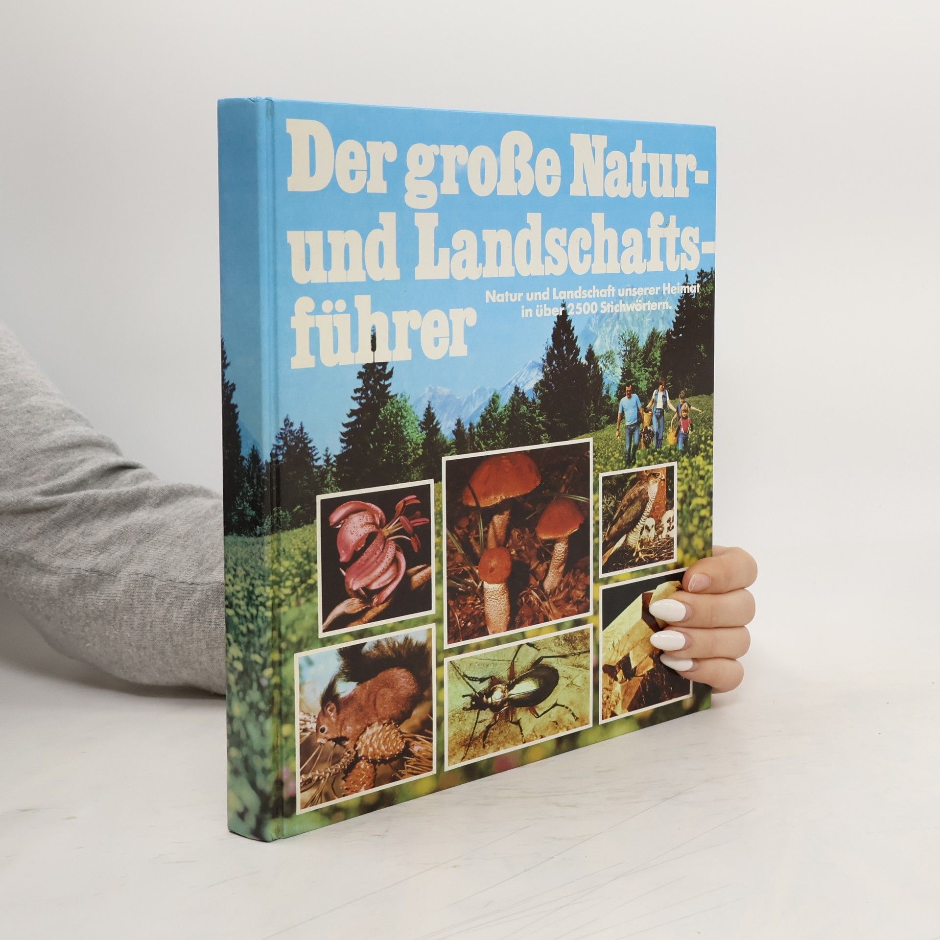 Collectif d'auteurs Der große Natur und Landschaftsführer