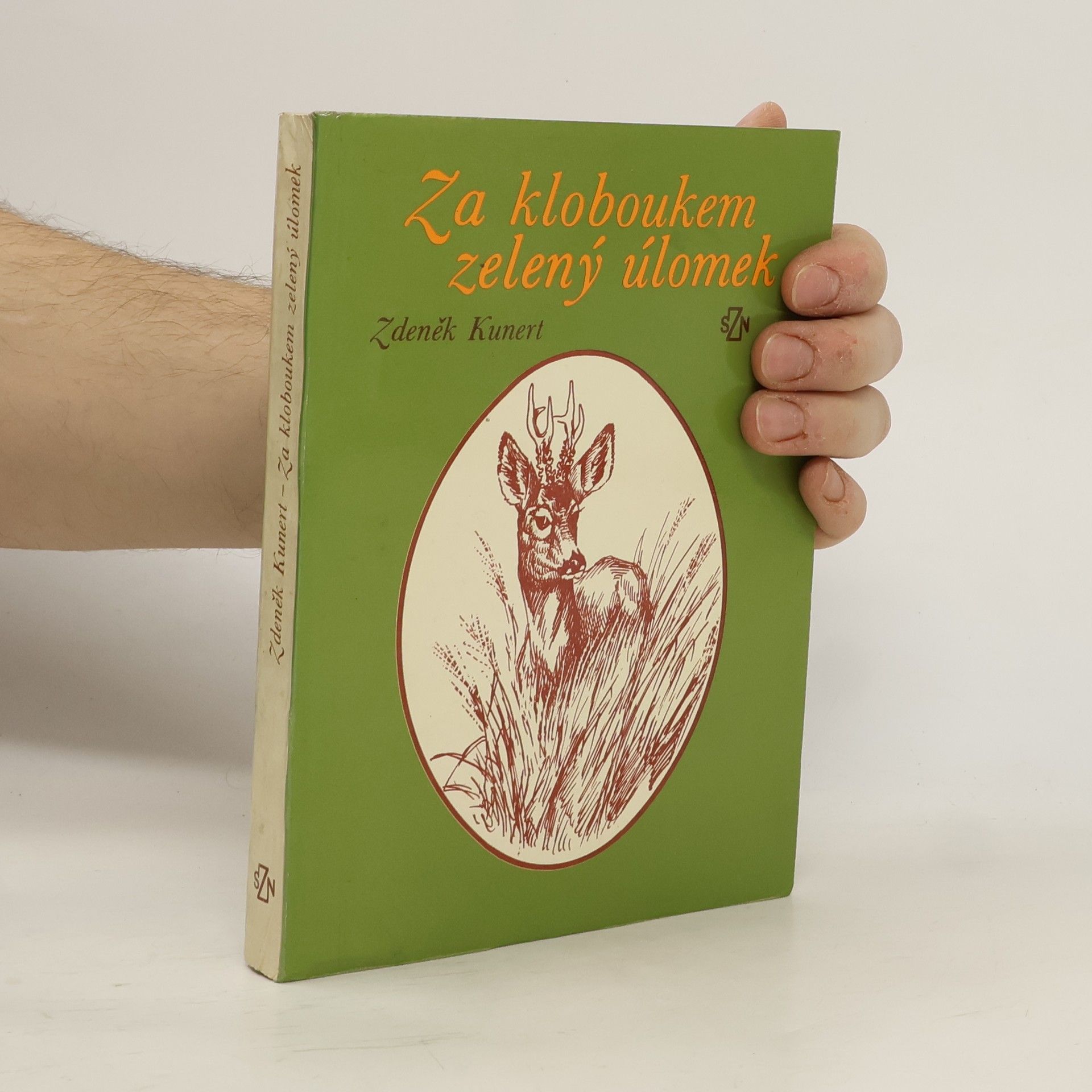 Za kloboukem zelený úlomek