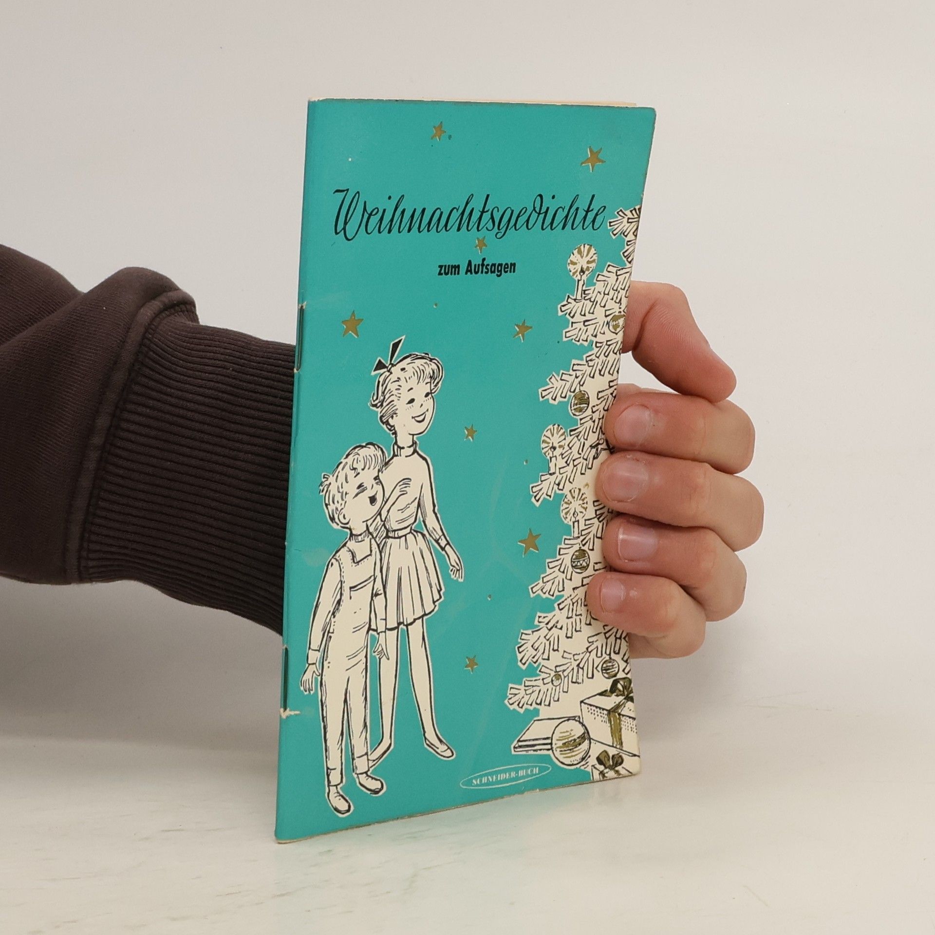 Kolektiv autorů Weihnachtsgedichte zum Aufsagen