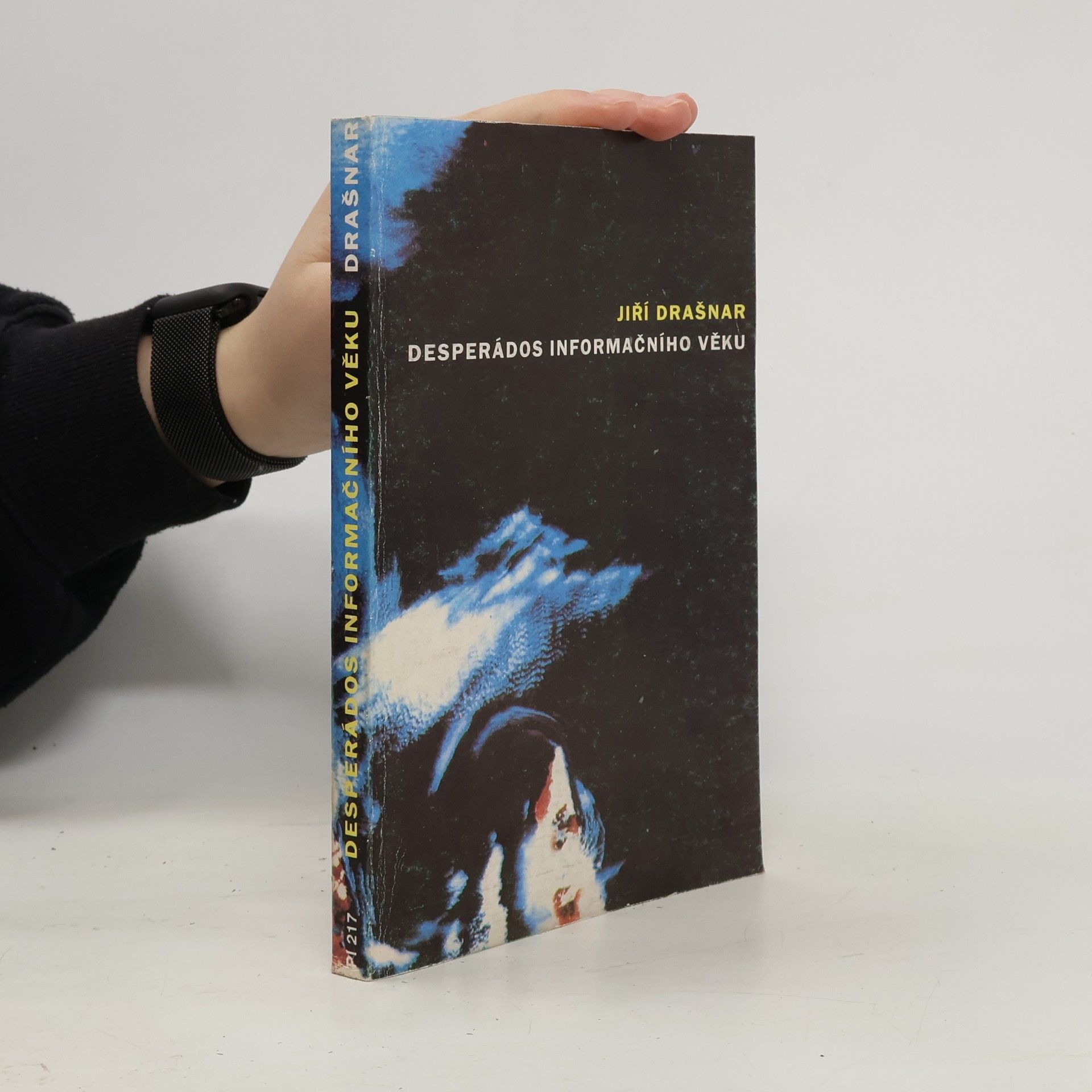 Desperádos informačního věku