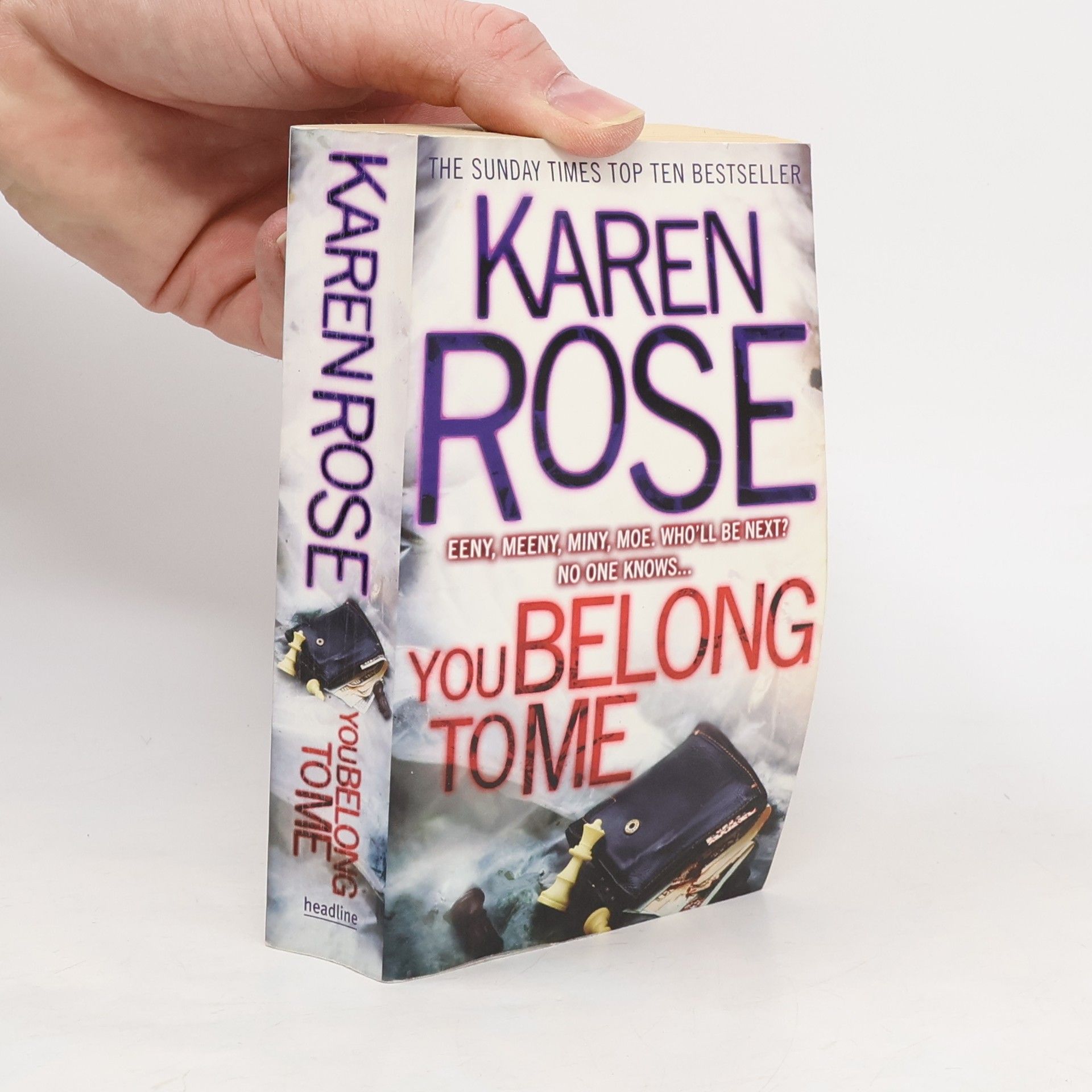 Karen Rose You Belong to Me
