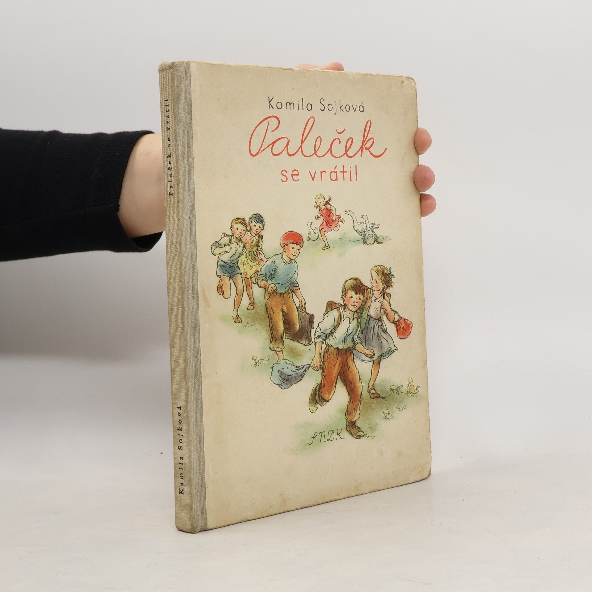 Kamila Sojková Paleček se vrátil