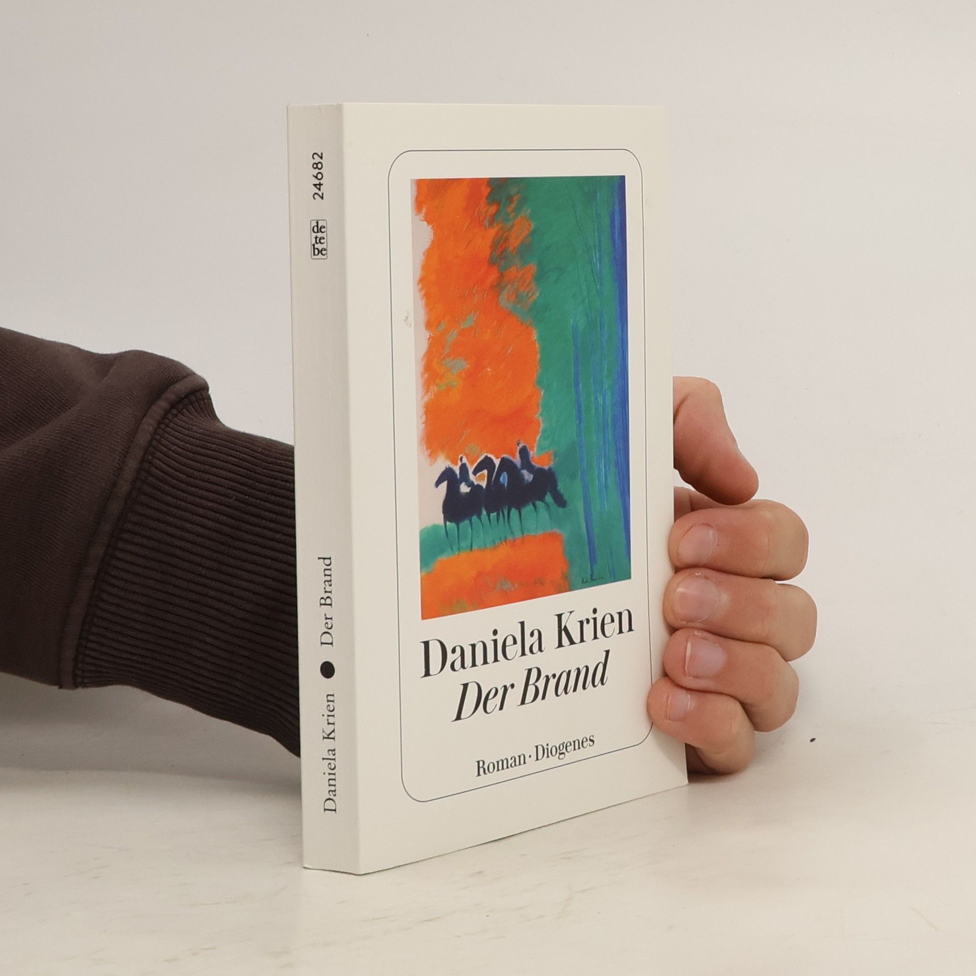 Daniela Krien Der Brand