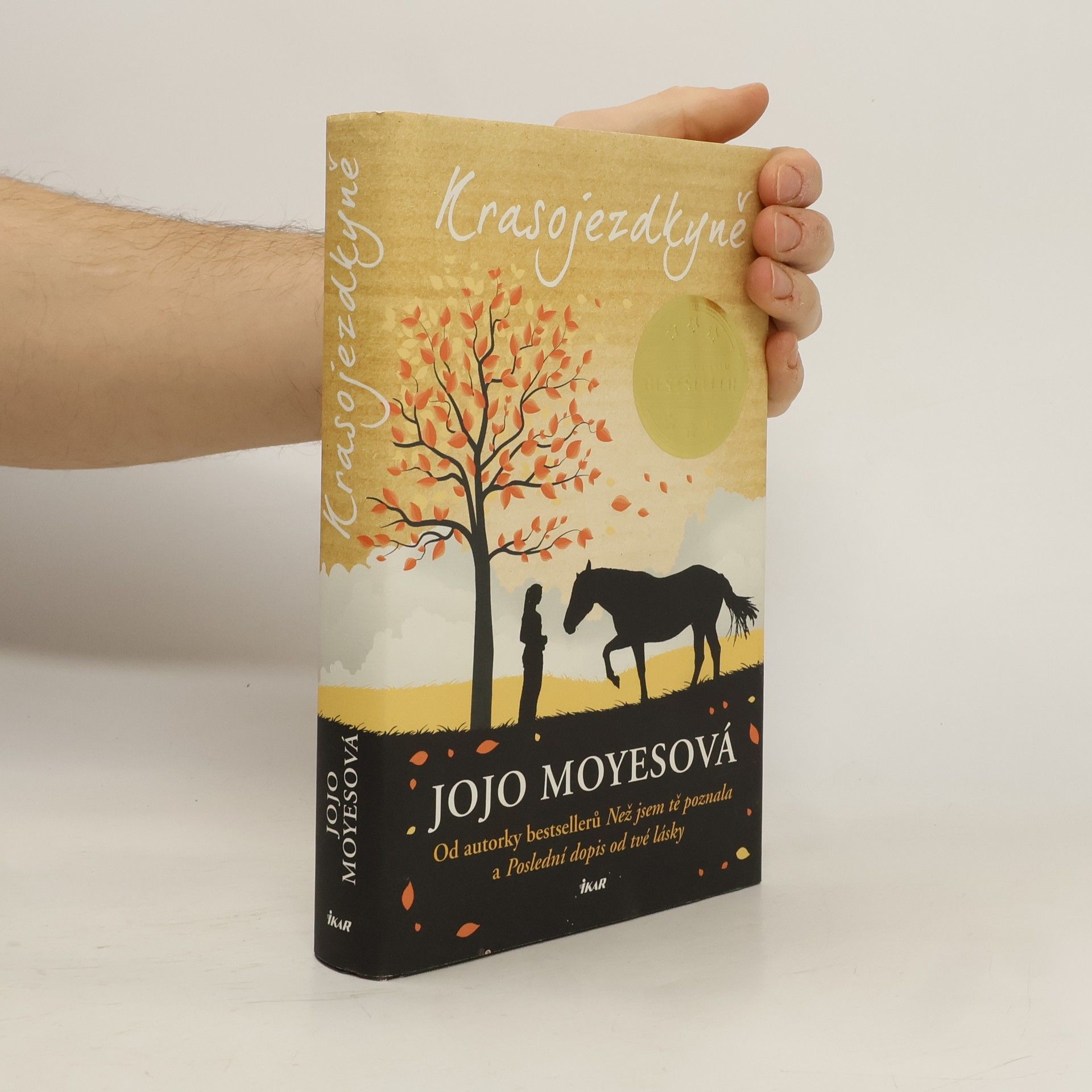 Jojo Moyes Krasojezdkyně