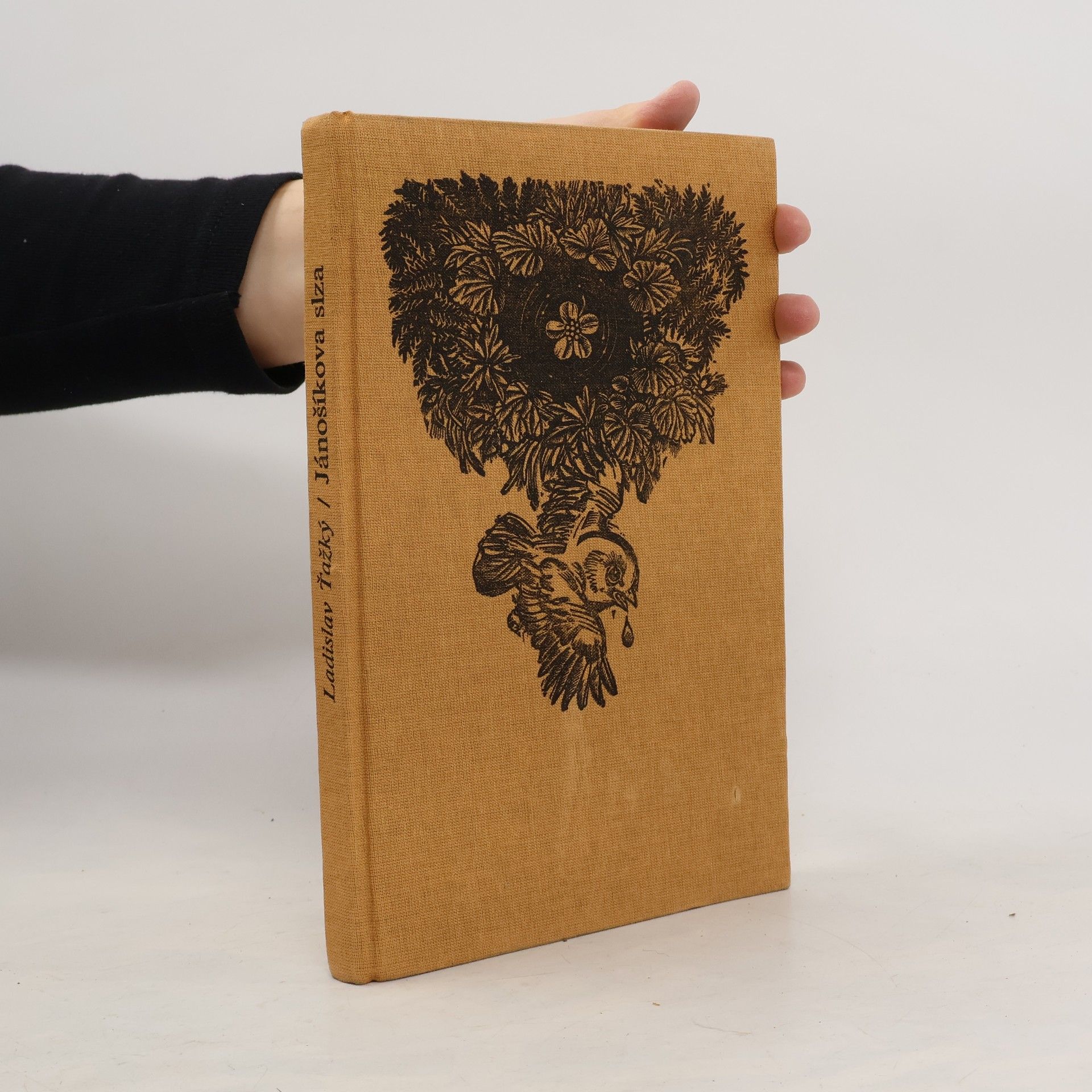 Ladislav Ťažký Jánošíkova slza