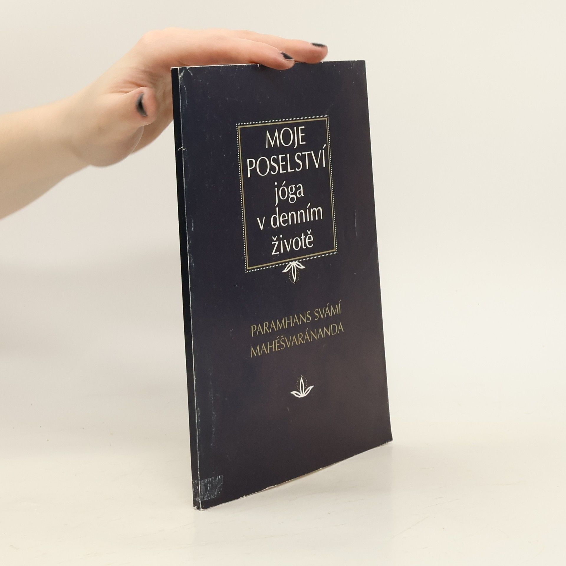 Paramhans Swami Maheshwarananda Moje poselství. Jóga v denním životě.