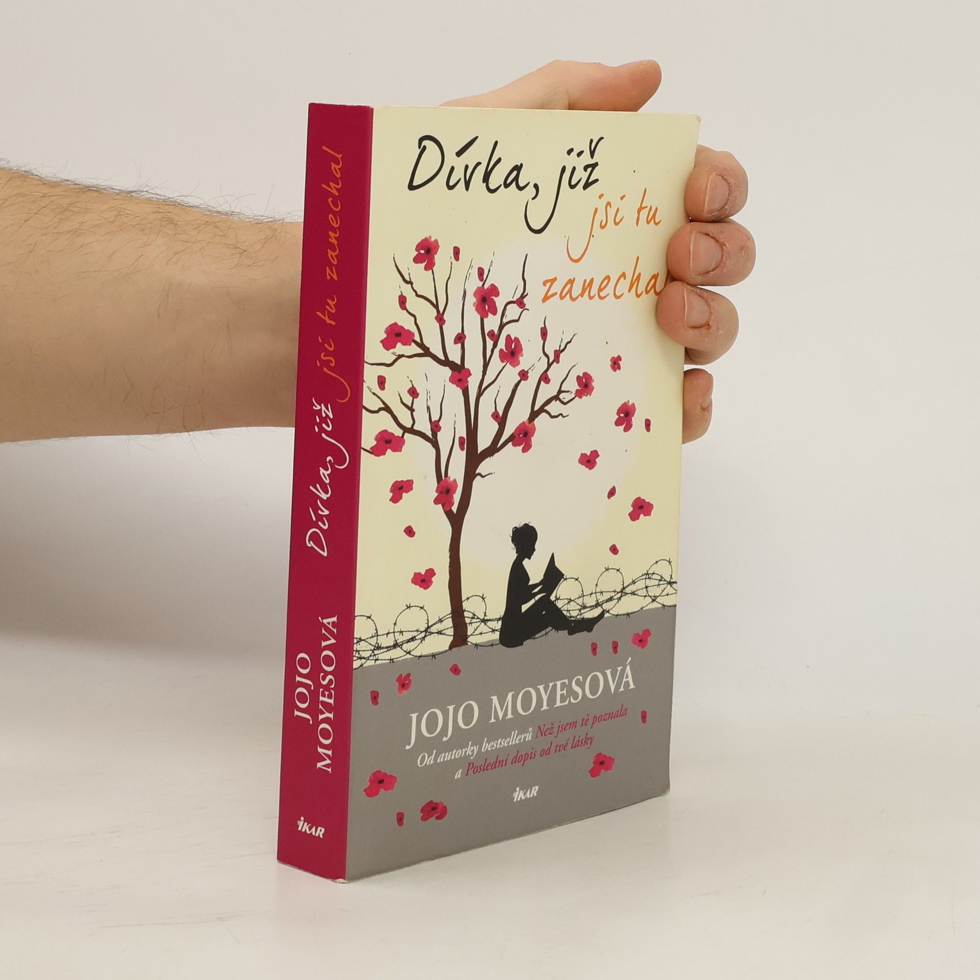 Jojo Moyes Dívka, již jsi tu zanechal