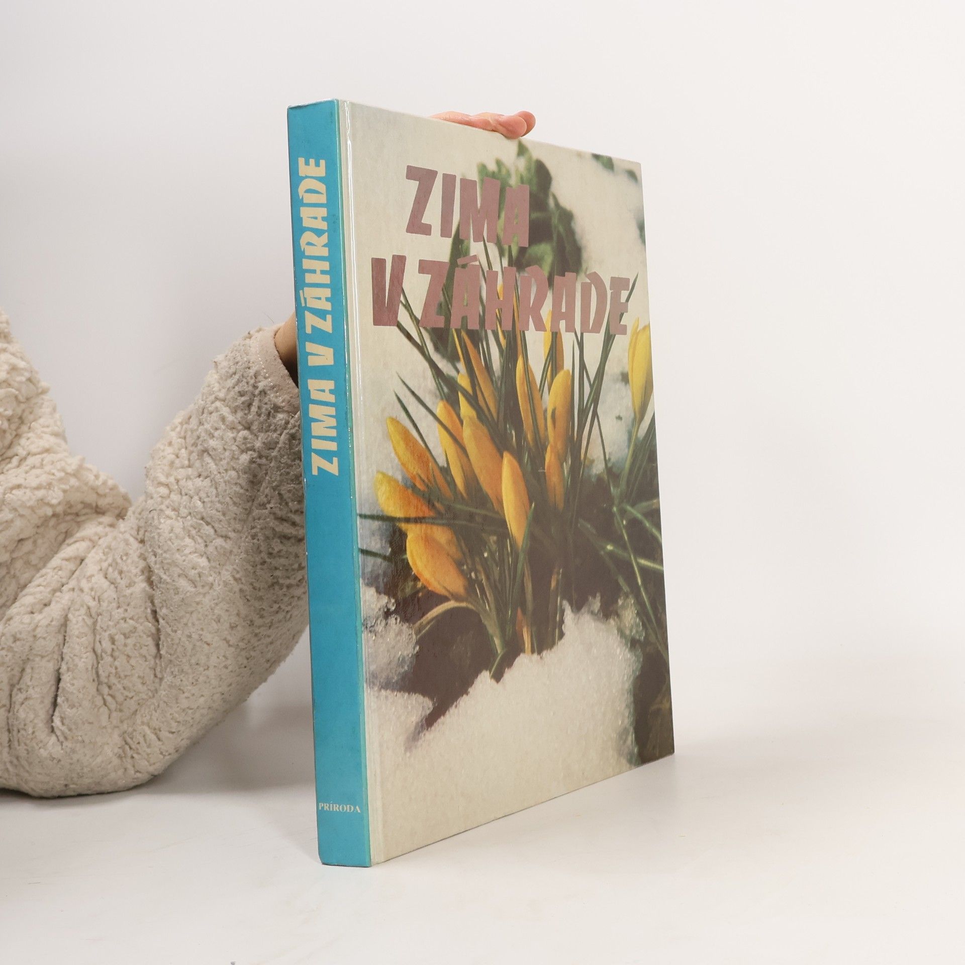 Dora Sopčáková Zima v záhrade