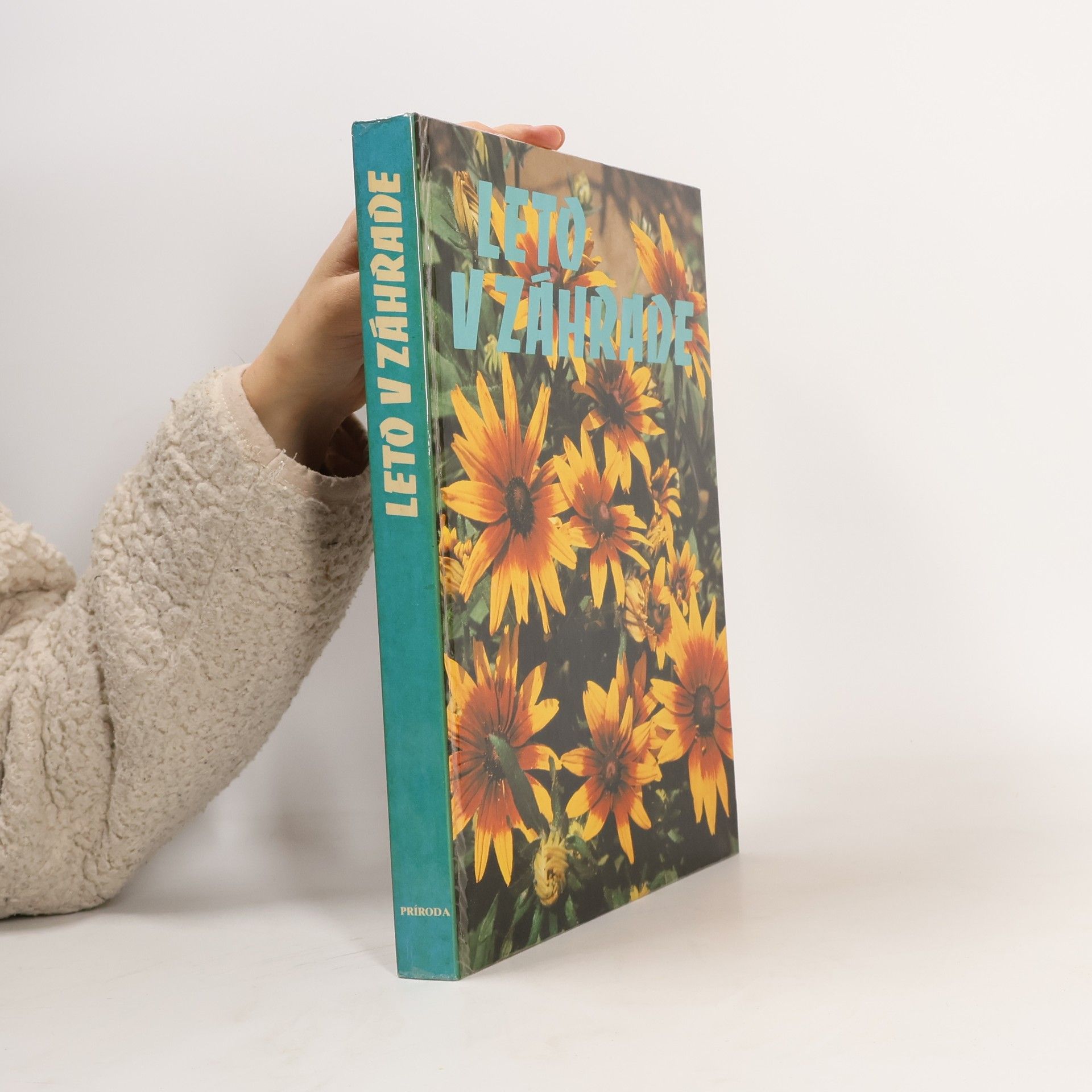 Collectif d'auteurs Leto v záhrade