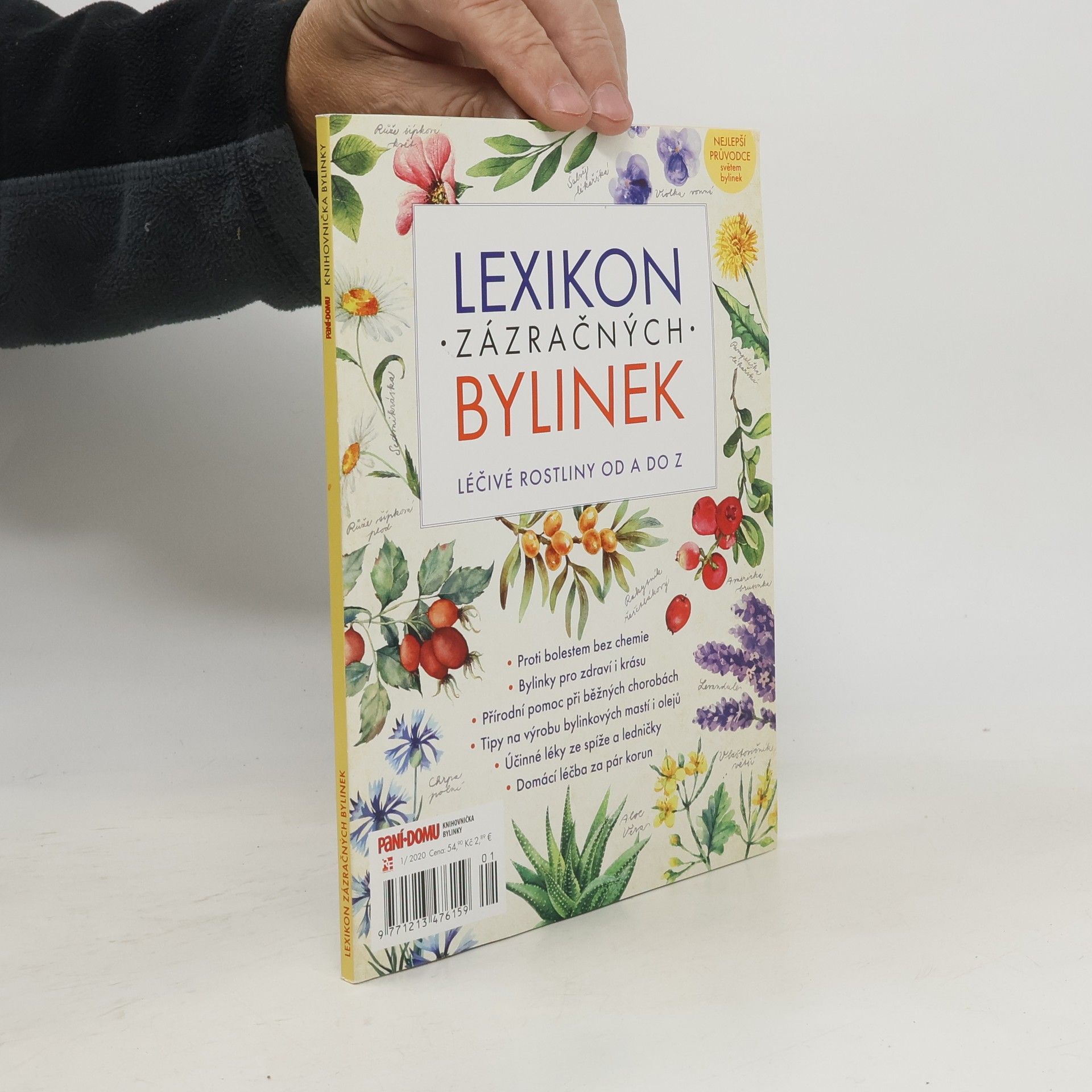 Kolektiv autorů Lexikon zázračných bylinek