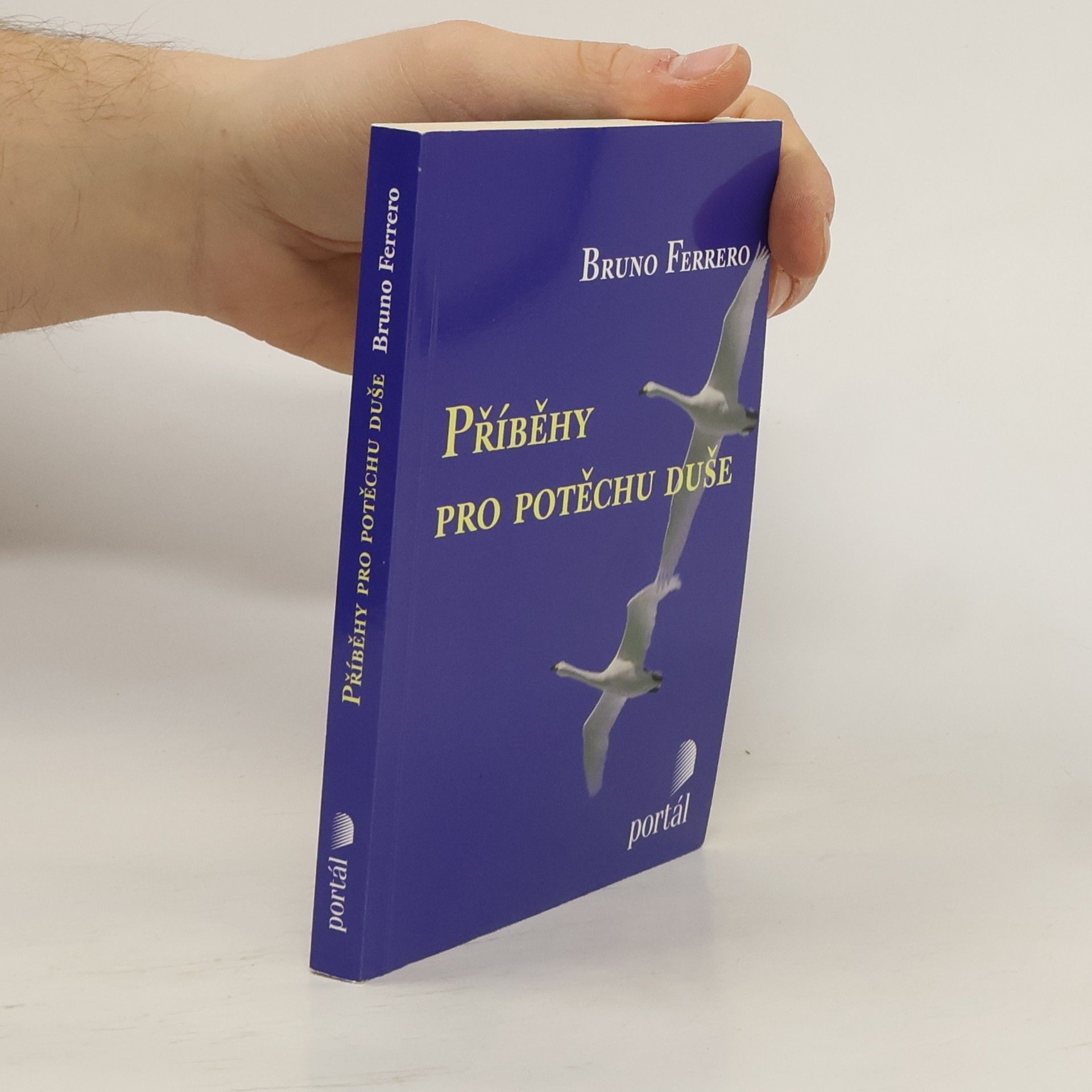 Bruno Ferrero Příběhy pro potěchu duše