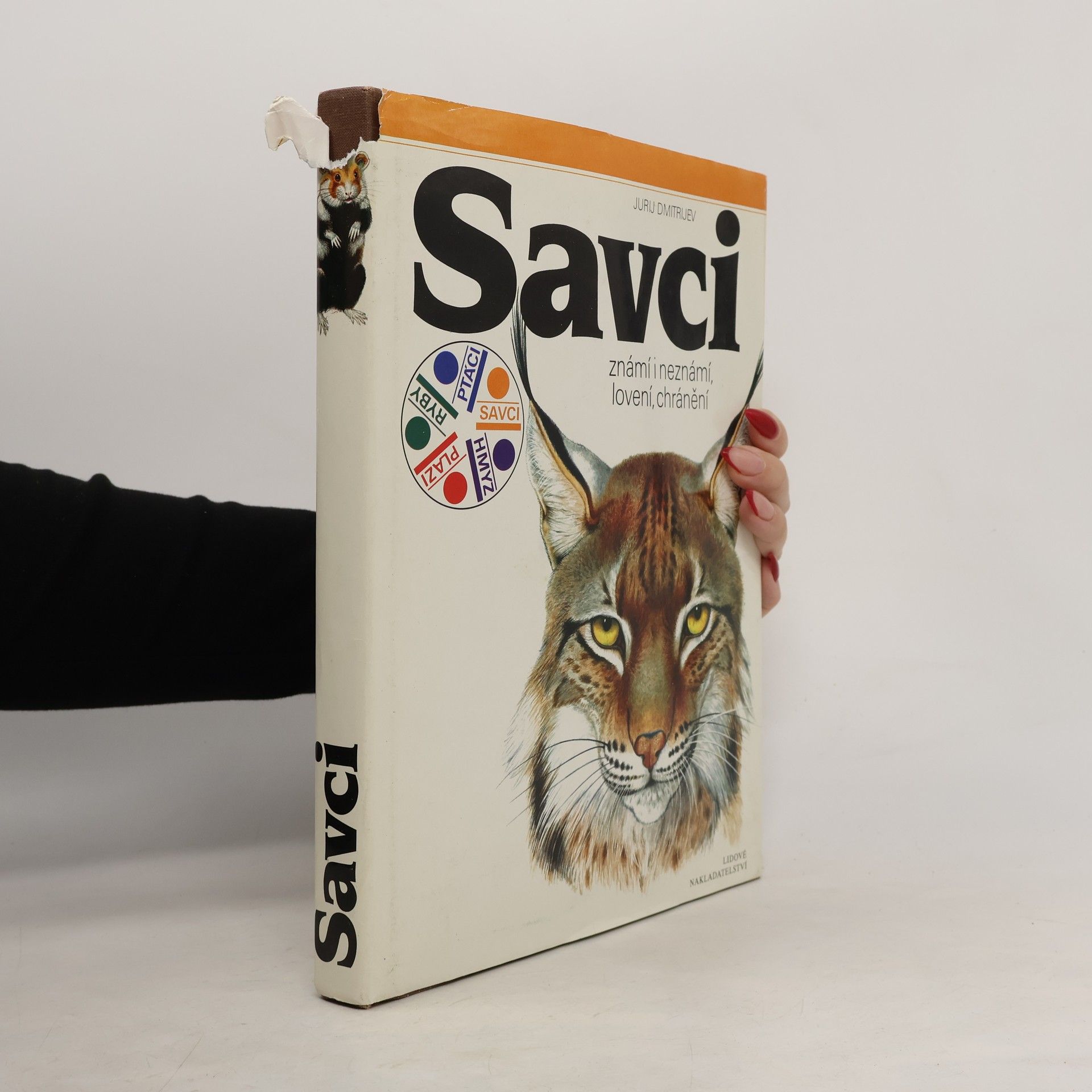 Jurij Dmitrijev Savci