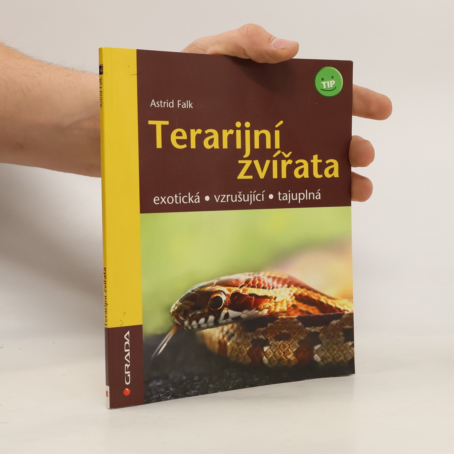 Terarijní zvířata - exotická, vzrušující, tajuplná