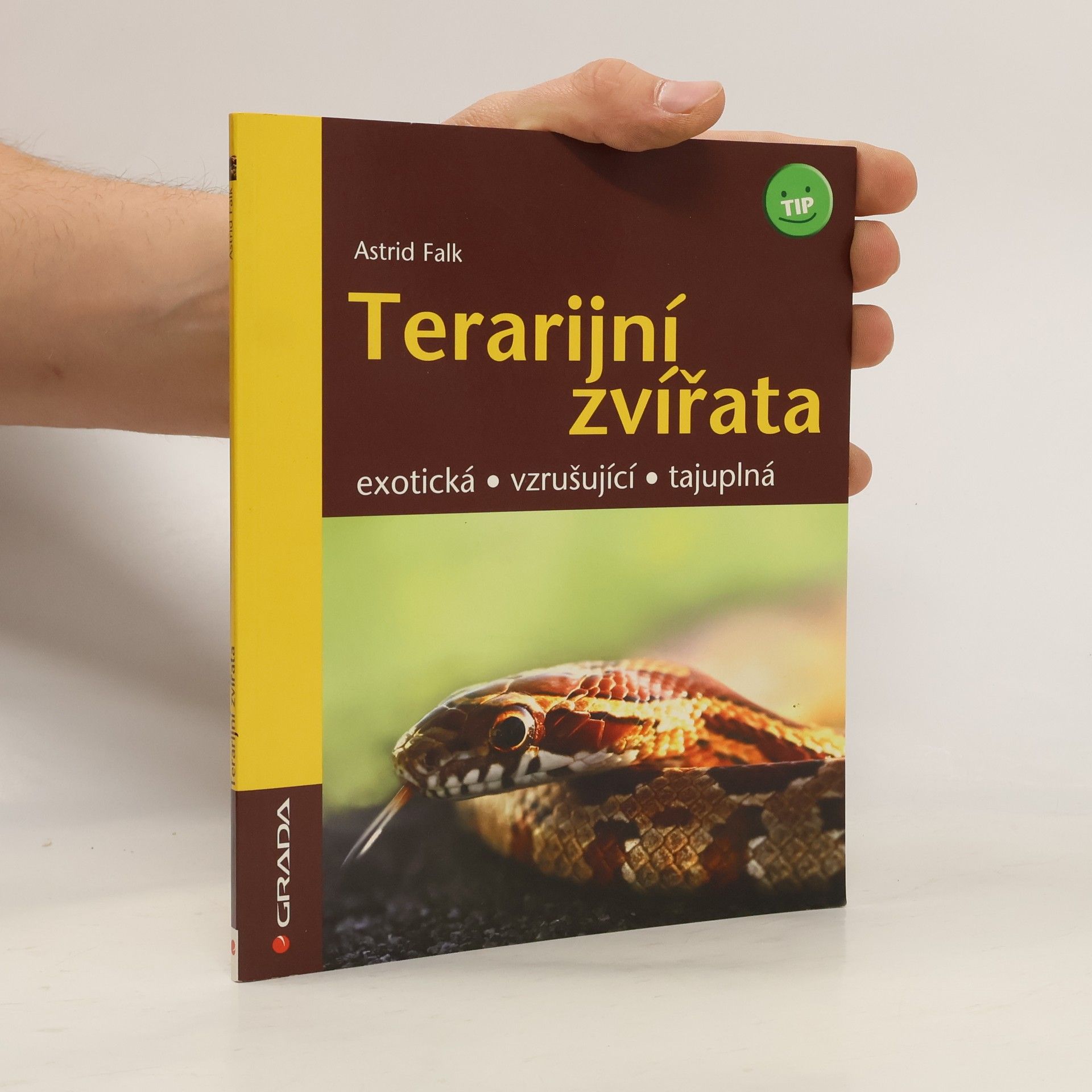 Astrid Falk Terarijní zvířata - exotická, vzrušující, tajuplná