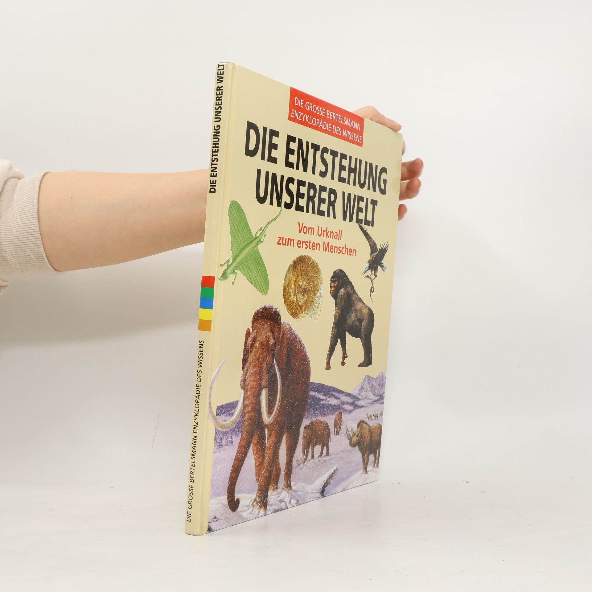 Autorenkollektiv Die Entstehung unserer Welt