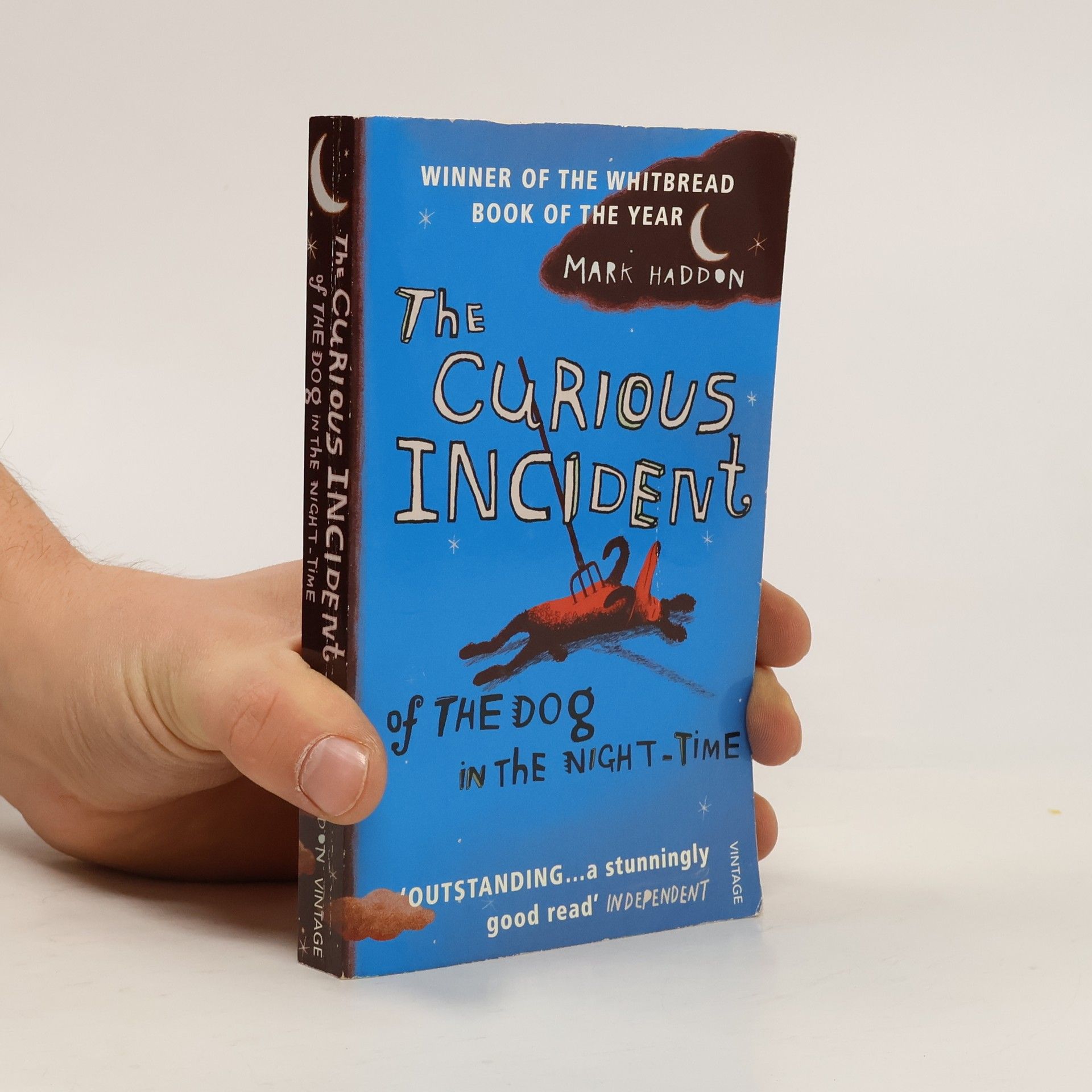 Mark Haddon The Curious Incident of The Dog in The Night-Time