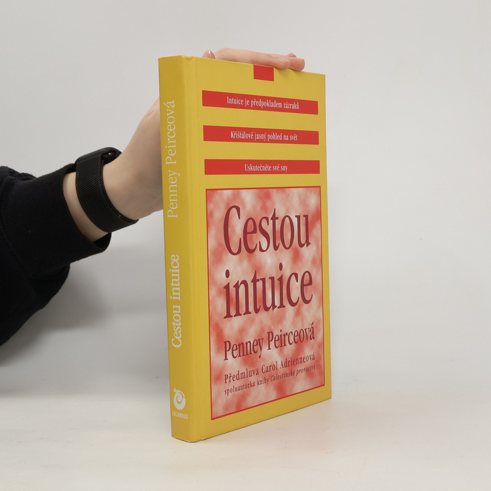 Cestou intuice: Průvodce životem pod vedením vnitřní moudrosti