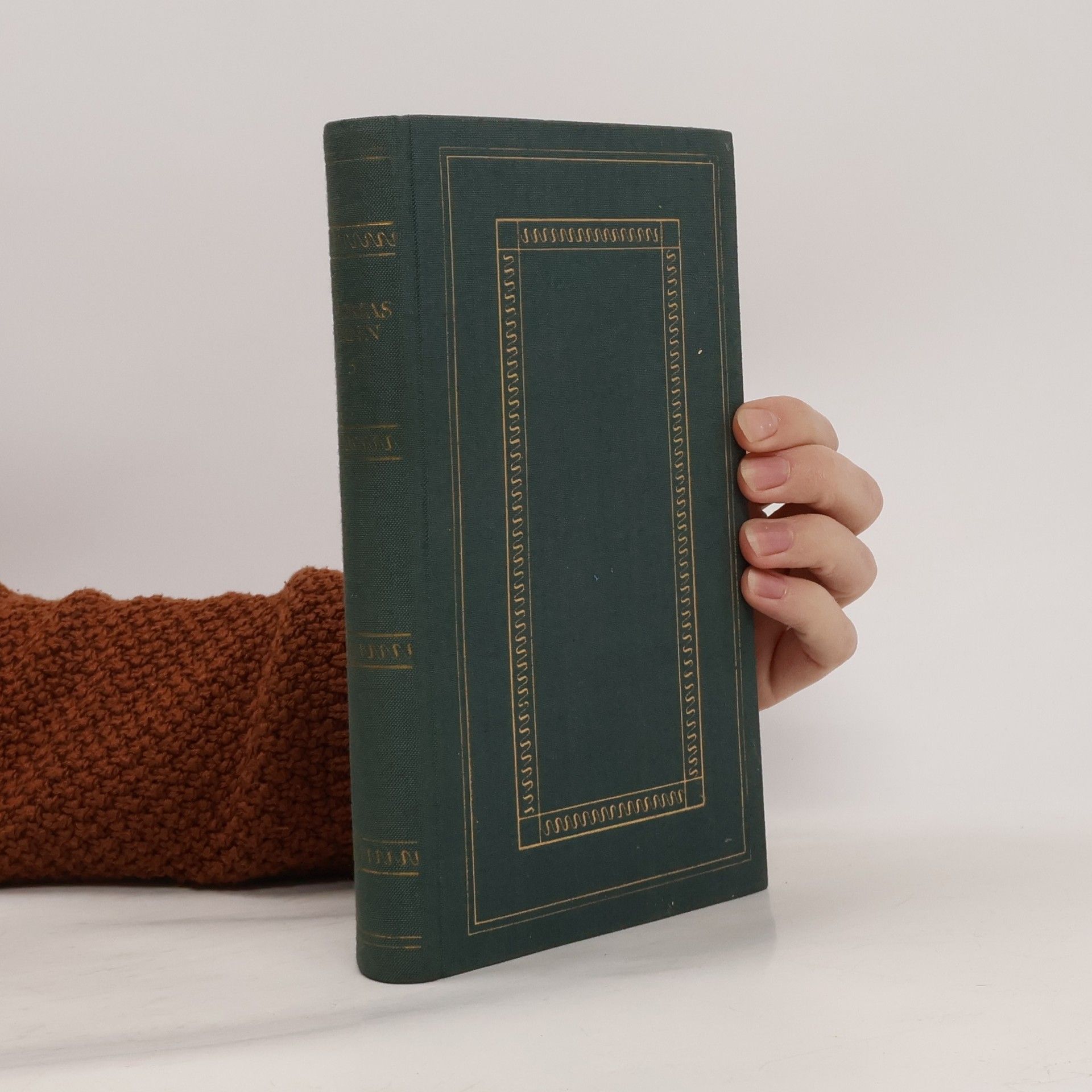 Thomas Mann Gesammelte Werke 15