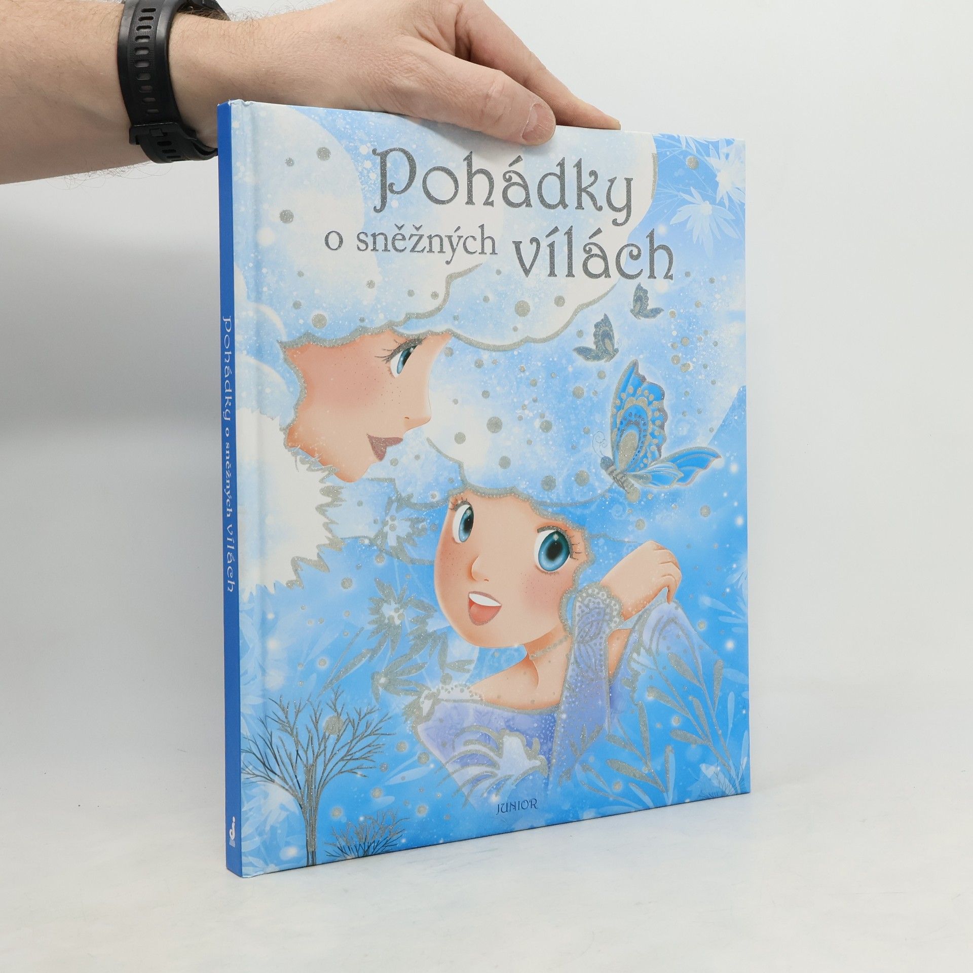 Autorenkollektiv Pohádky o sněžných vílách