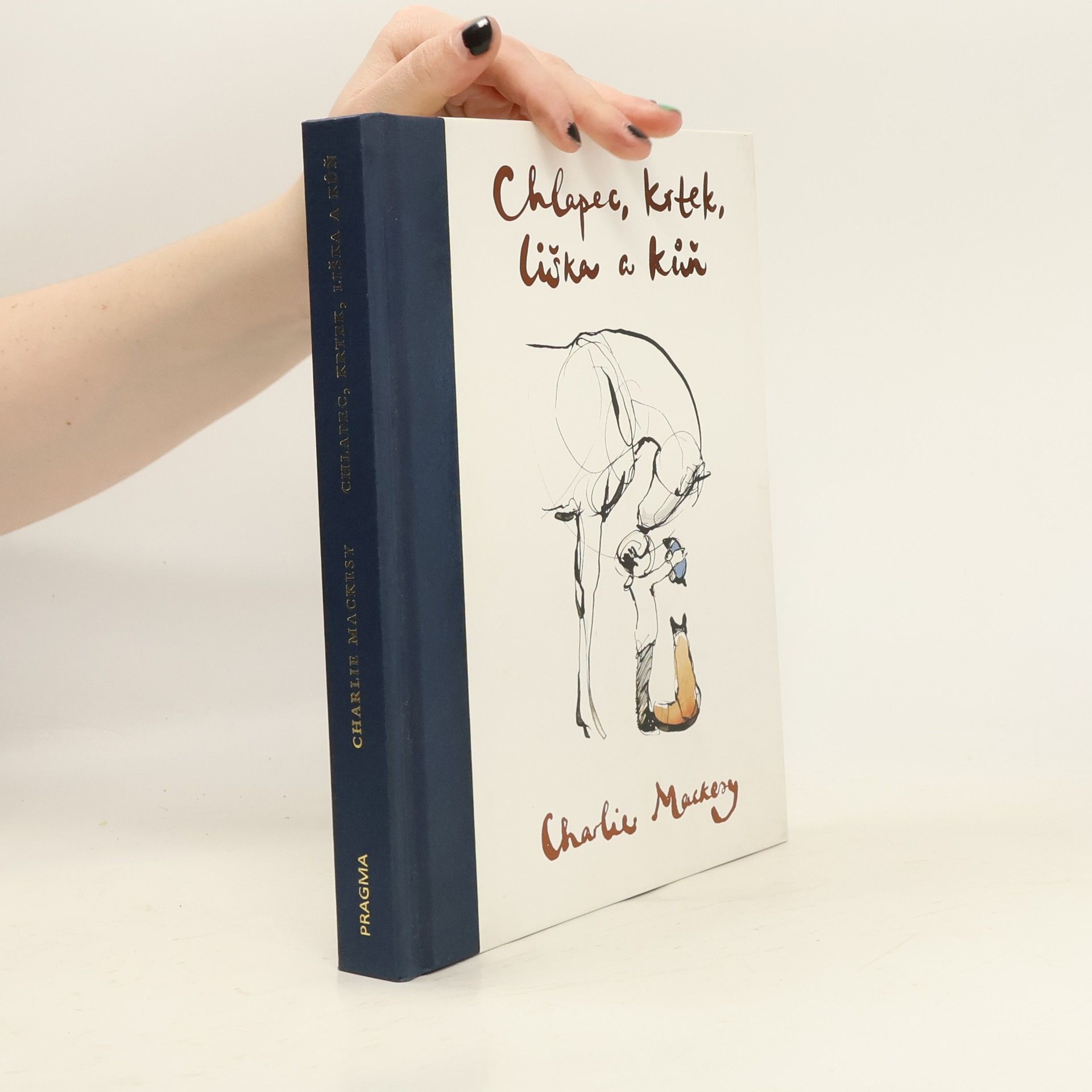 Chlapec, krtek, liška a kůň