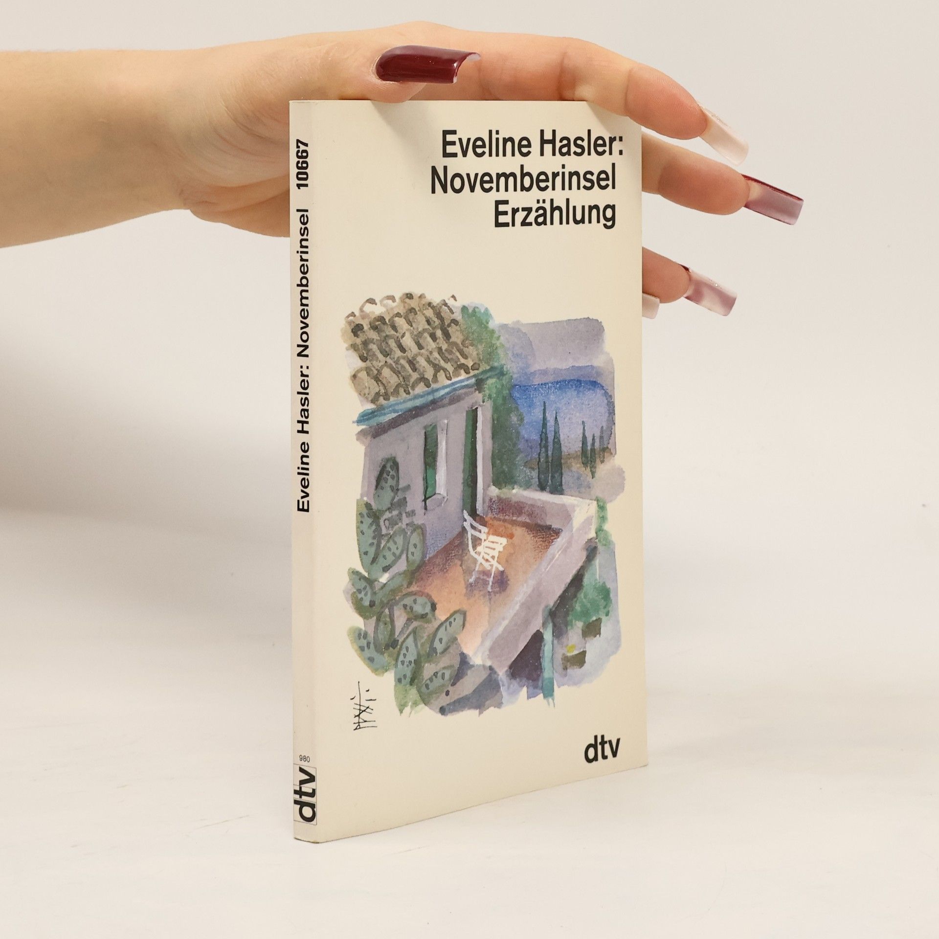 Eveline Hasler Novemberinsel. Erzählung