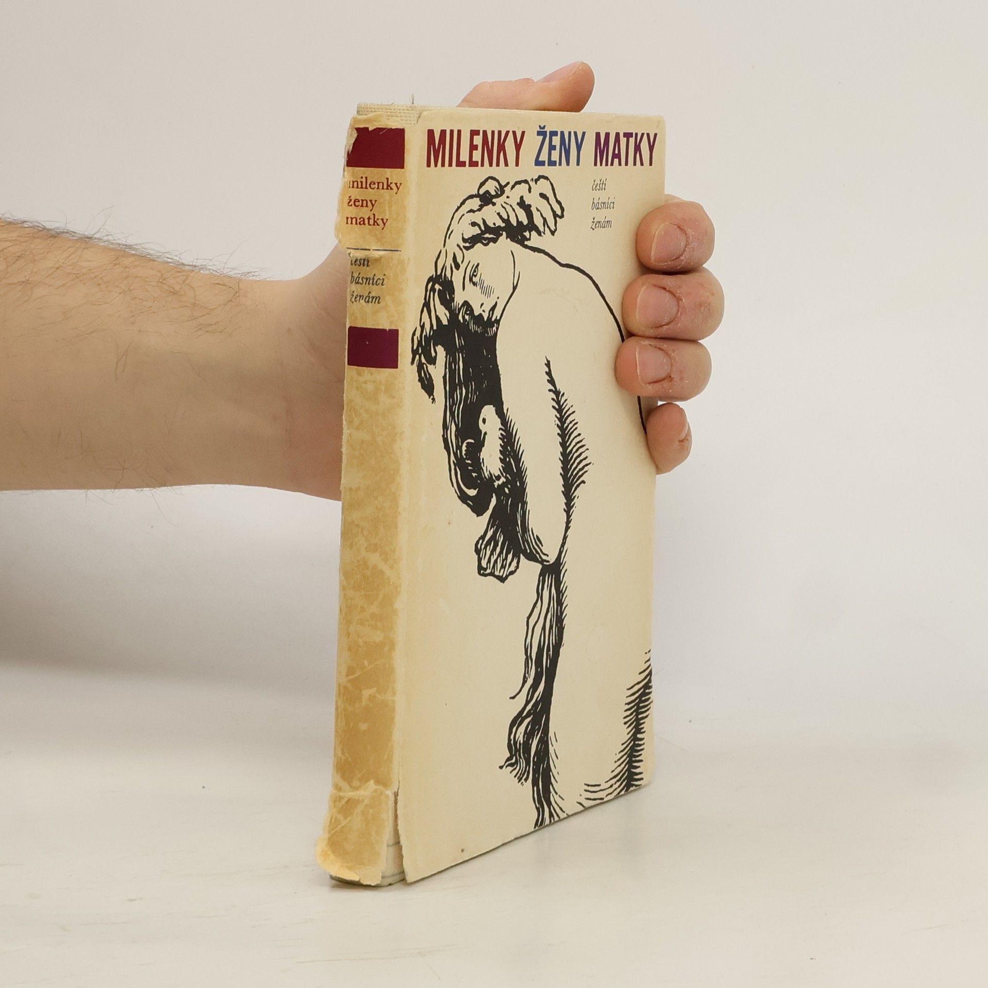 AA.VV. Milenky, ženy, matky. Čeští básníci ženám