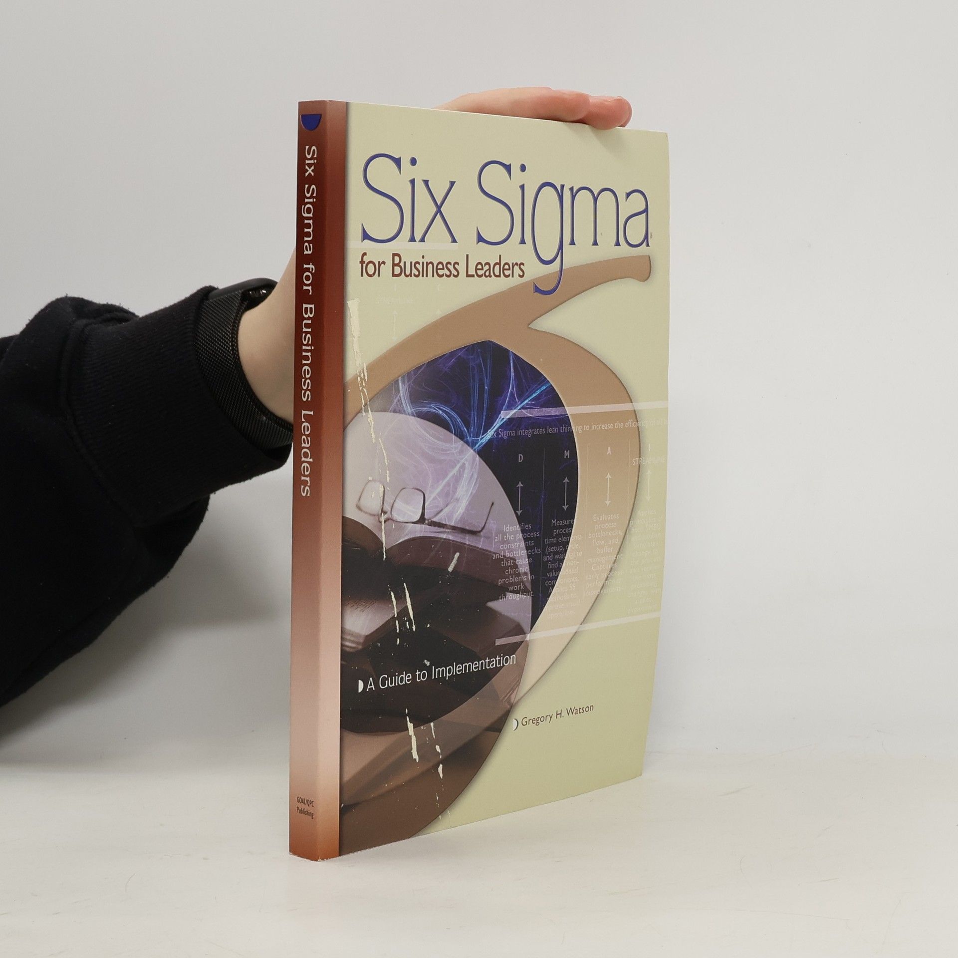 Six Sigma for Business Leaders