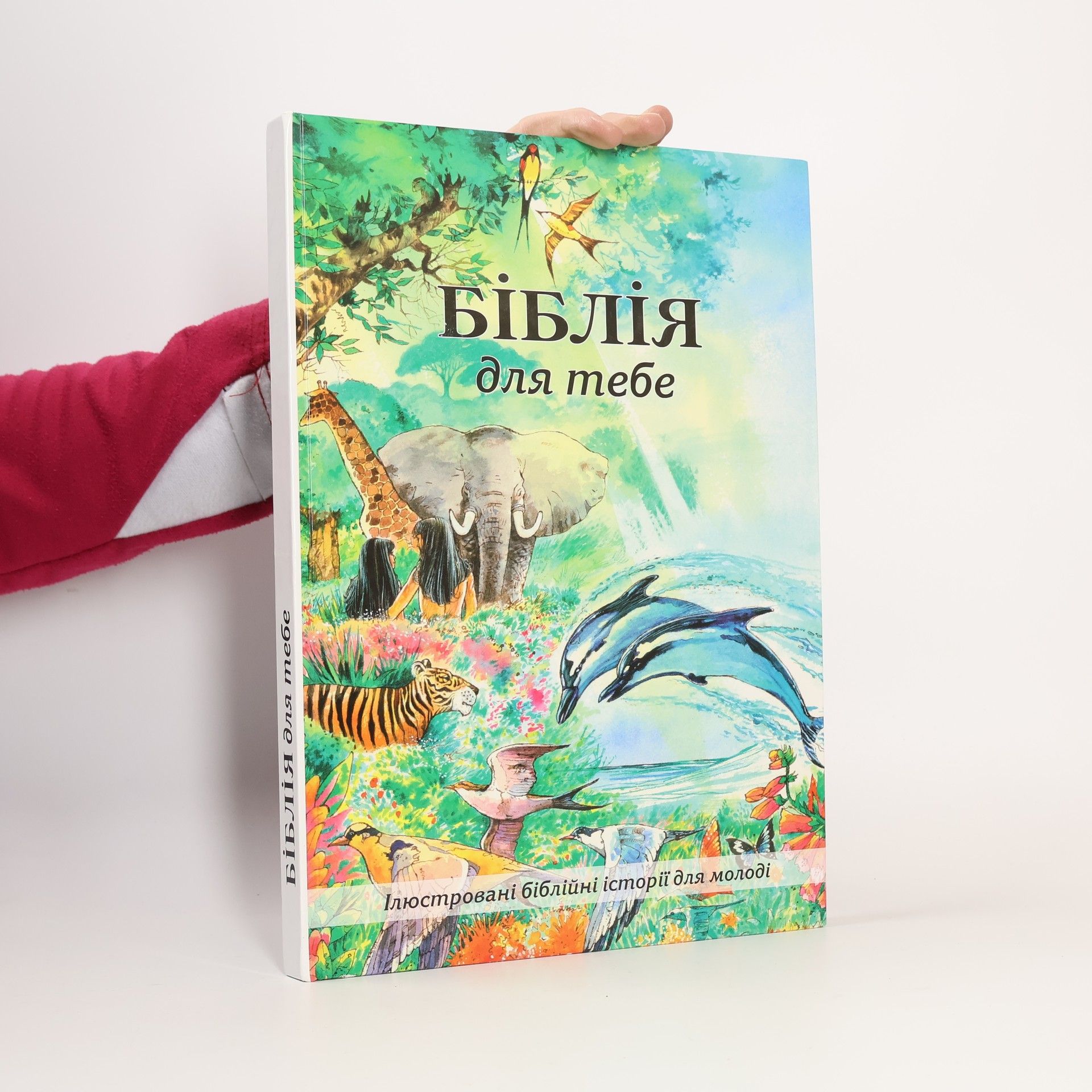 Autorenkollektiv БІБЛІЯ для тебе